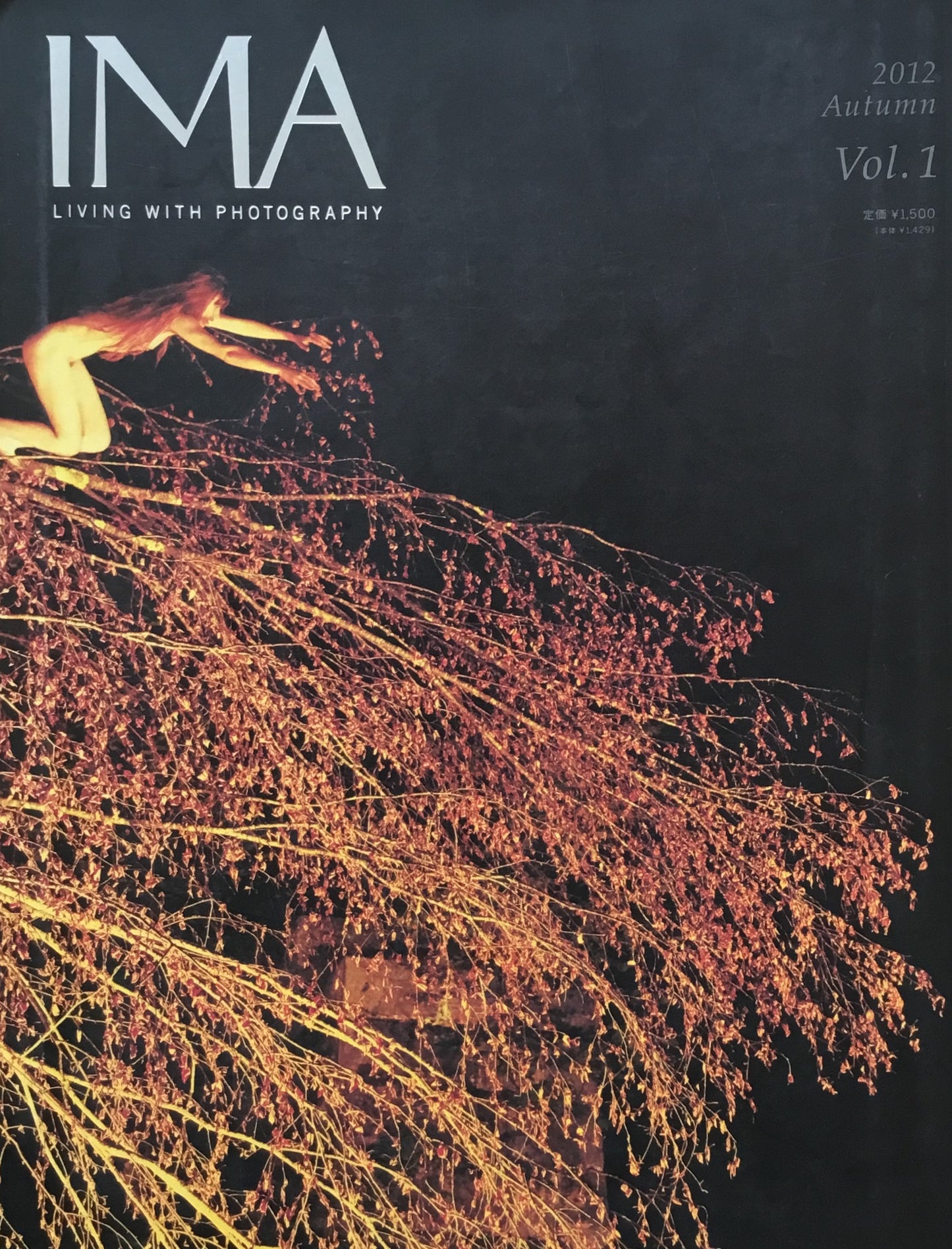 IMA 2012 Autumn Vol.1 家族の肖像