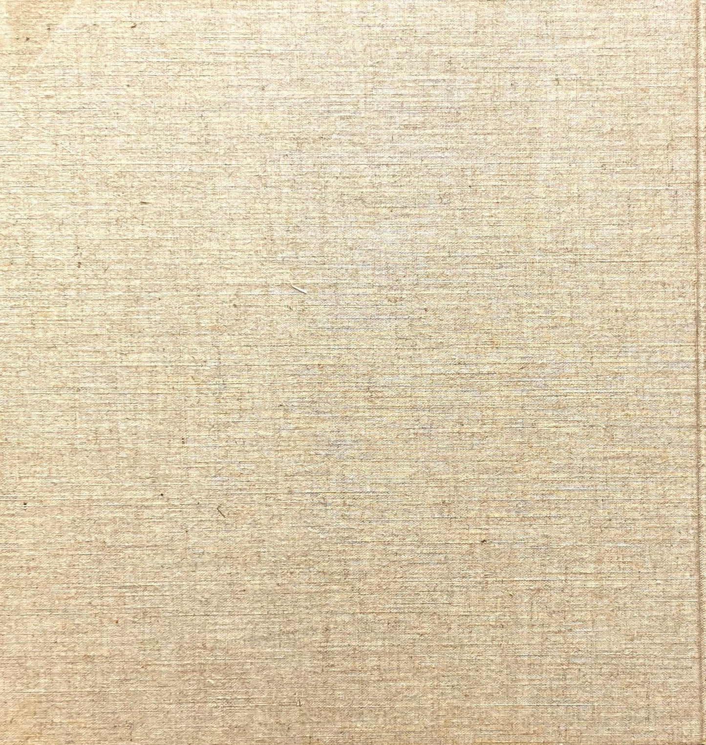 現実と創造 丹下健三 1946‐1958