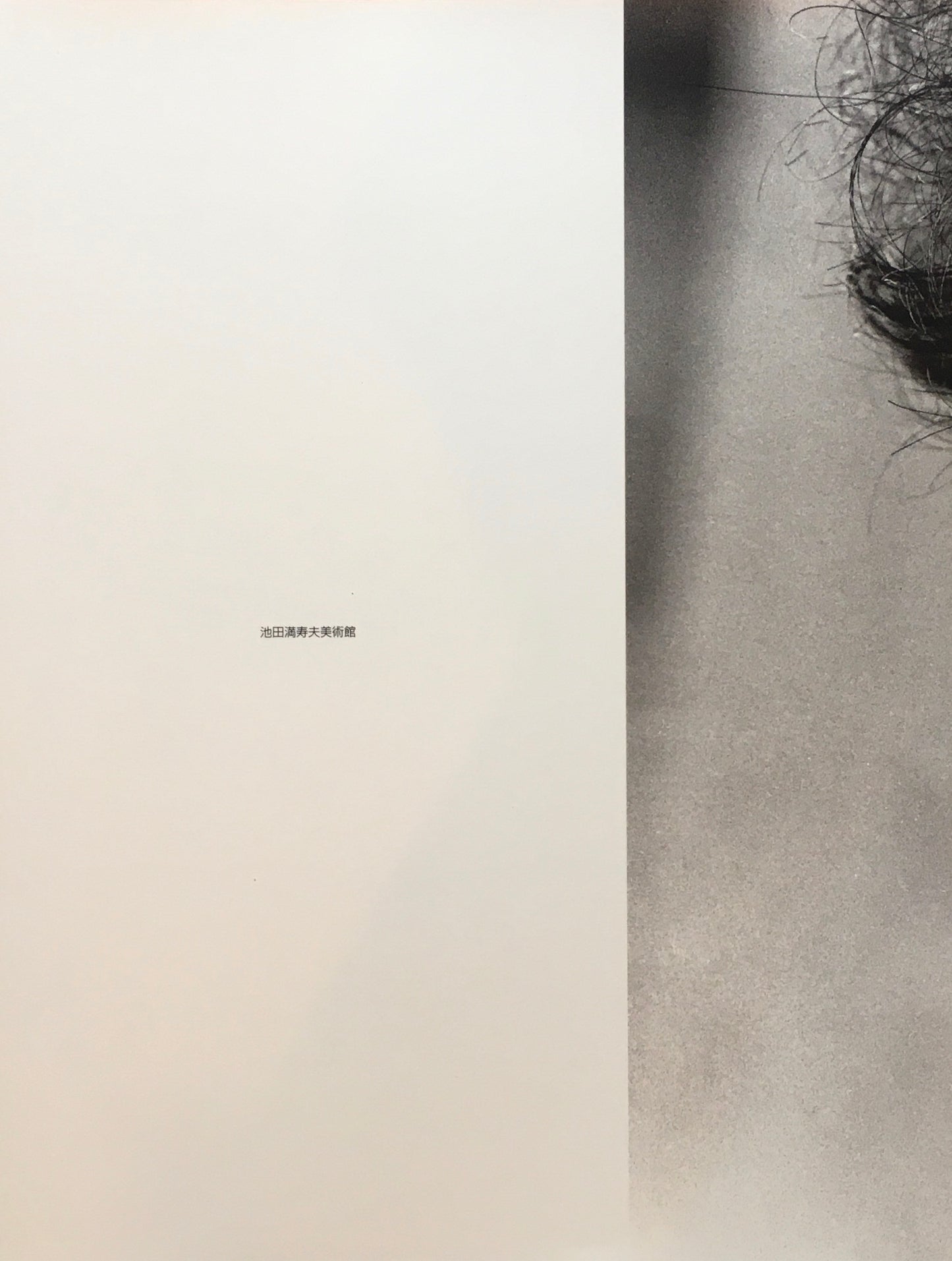 思い出の池田満寿夫 その人間模様と名作をたどって