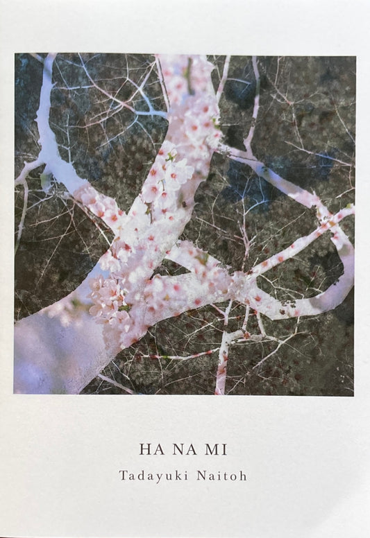 HA NA MI Tadayuki Naitoh 内藤忠行