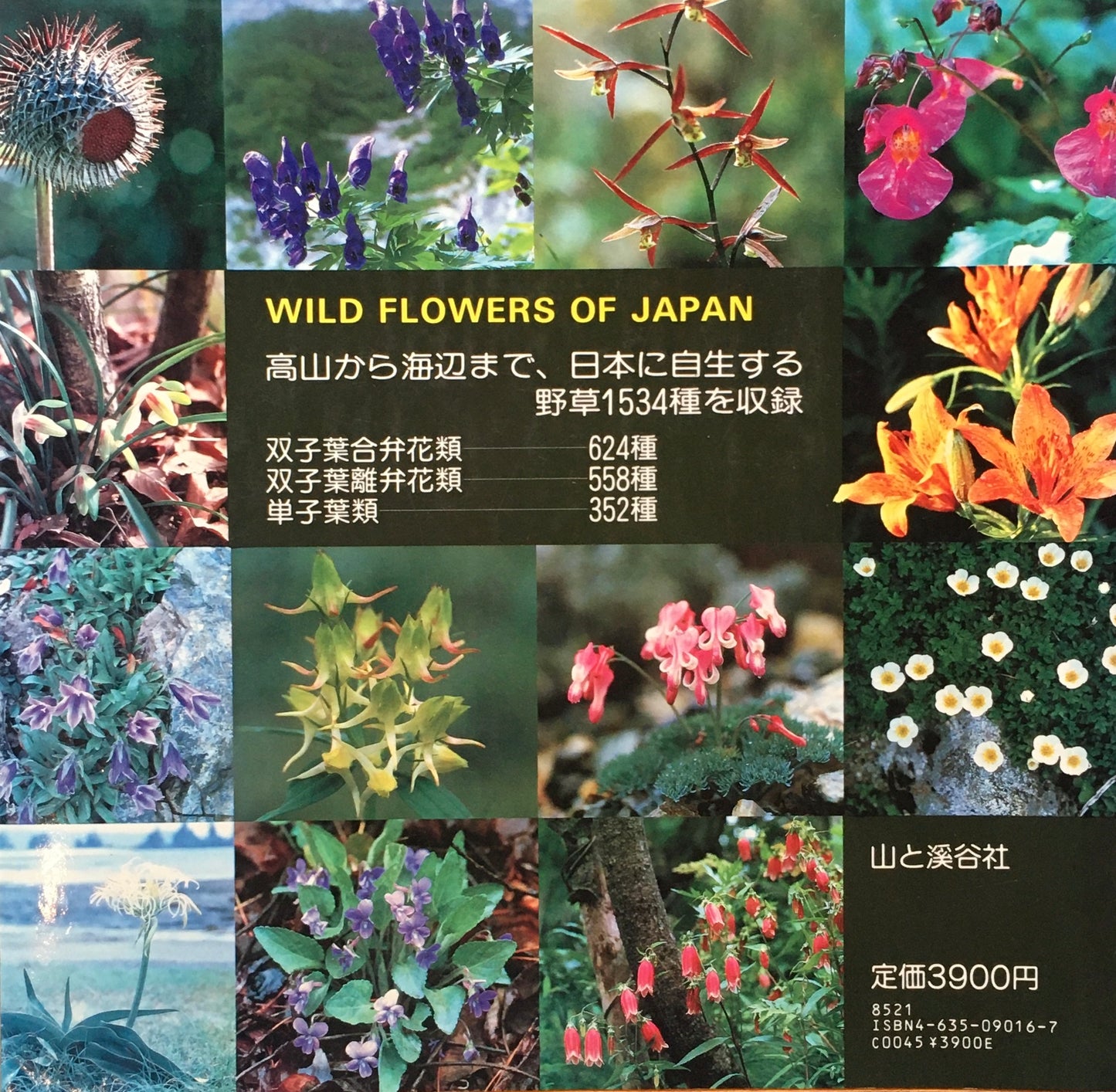 日本の野草 山渓カラー名鑑