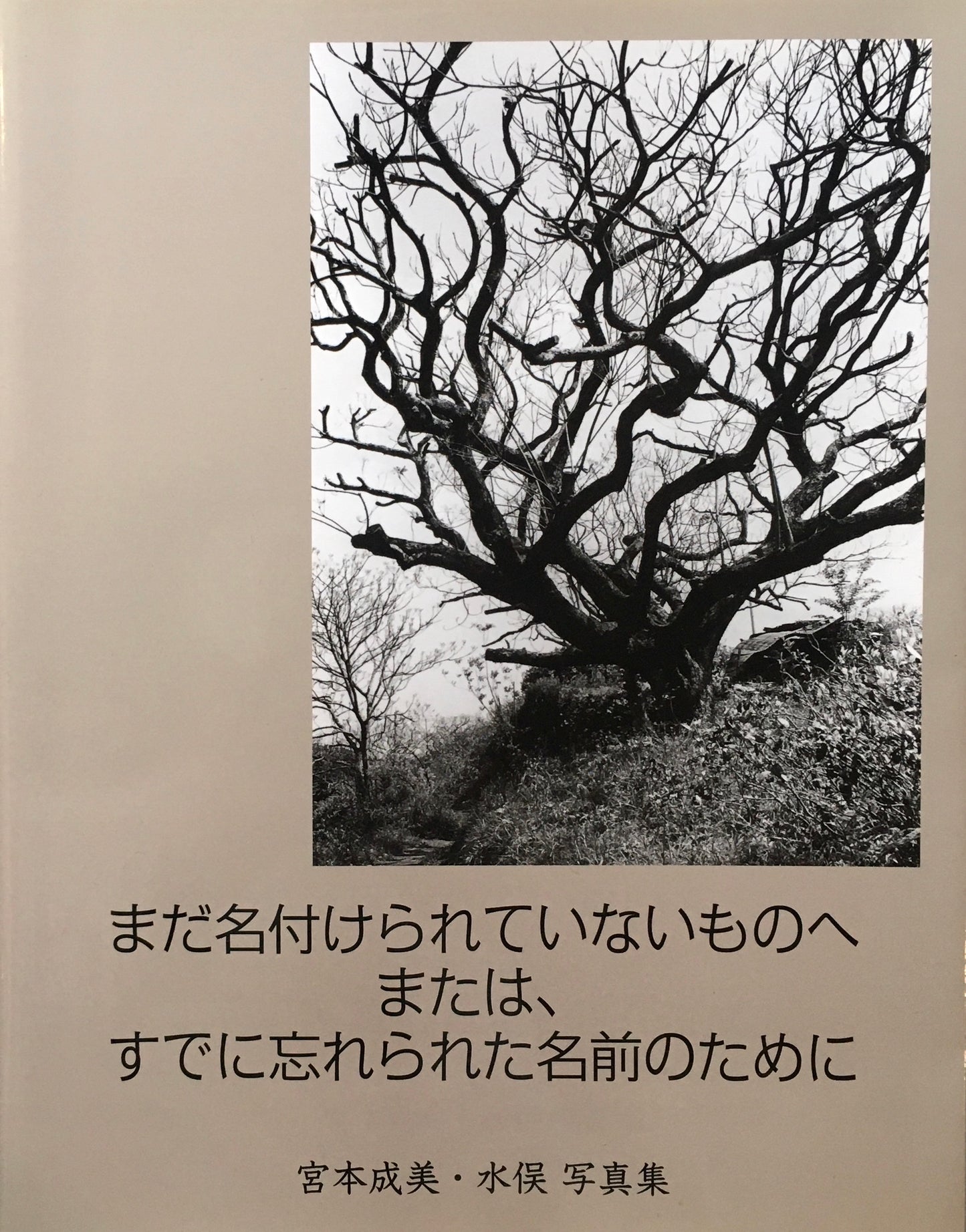 まだ名づけられていないものへ または、すでに忘れられた名前のために 宮本成美・水俣写真集