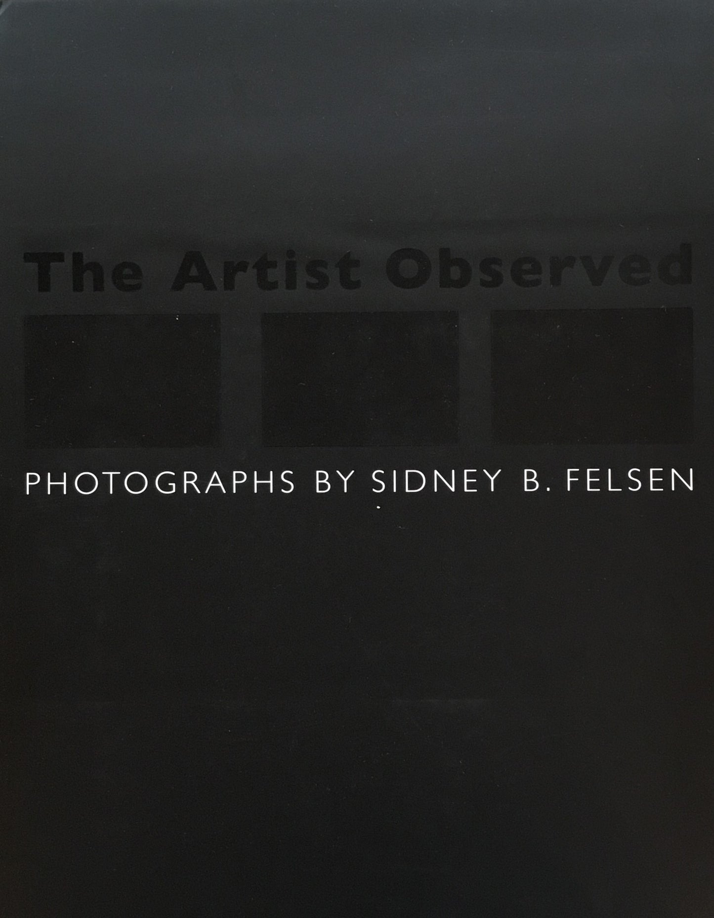 The Artist Observed Sidney B. Felsen