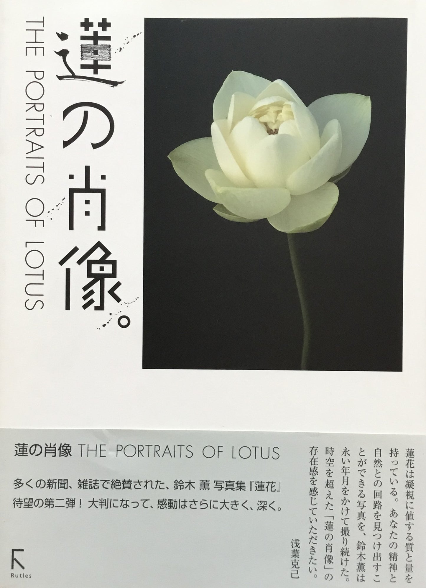 蓮の肖像 THE PORTRAITS OF LOTUS 鈴木薫写真集