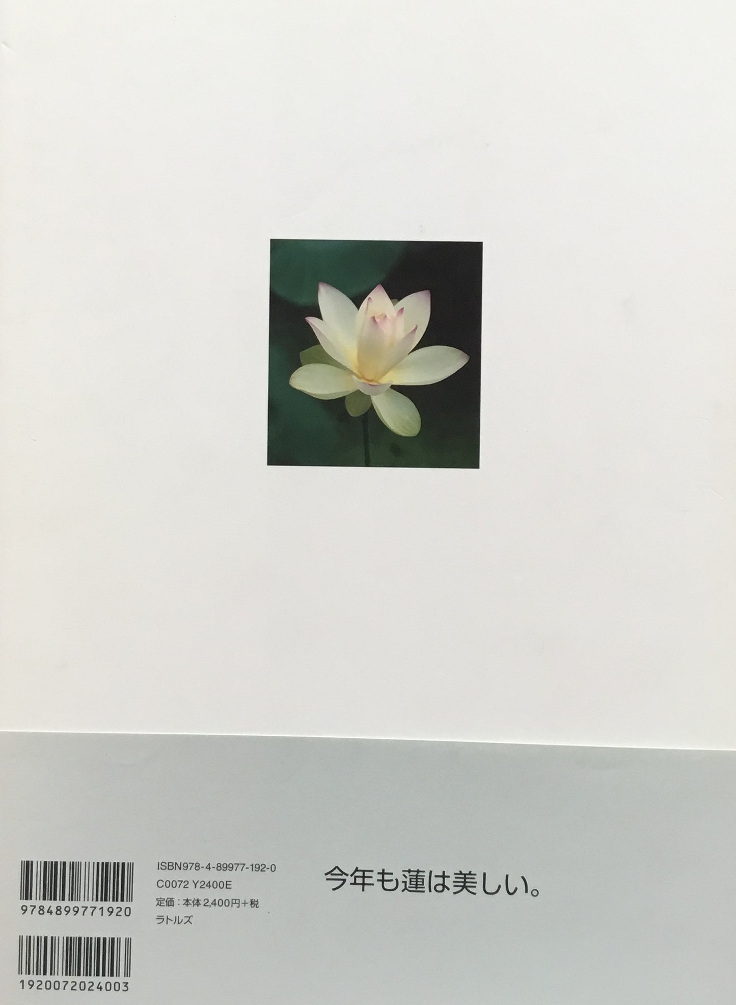 蓮の肖像 THE PORTRAITS OF LOTUS 鈴木薫写真集 署名入