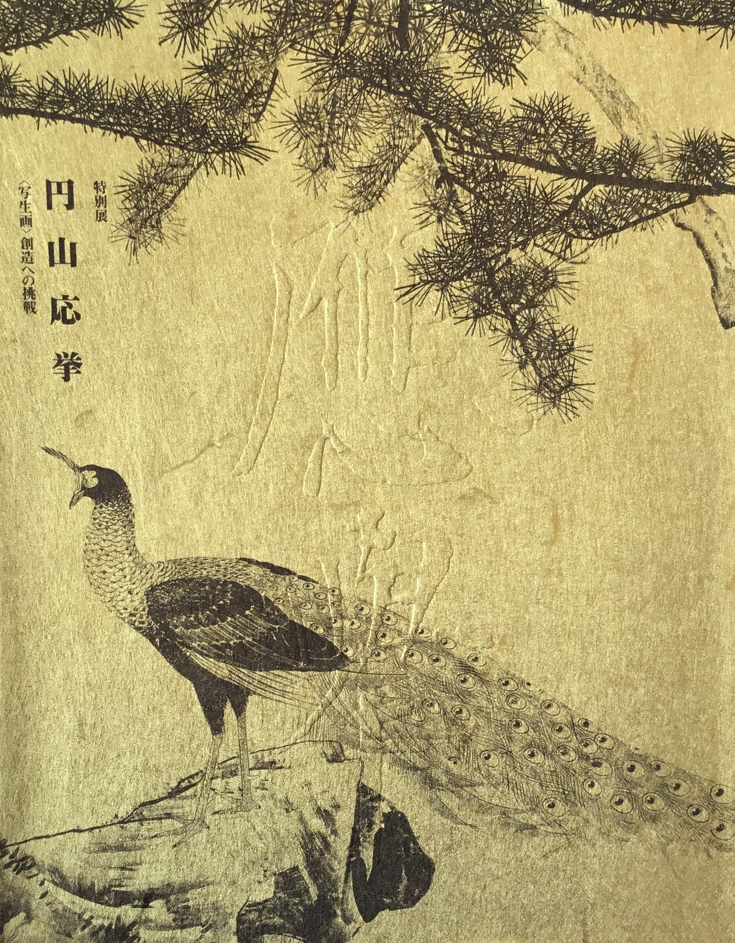 円山応挙 <写生画>創造への挑戦 大阪市立美術館