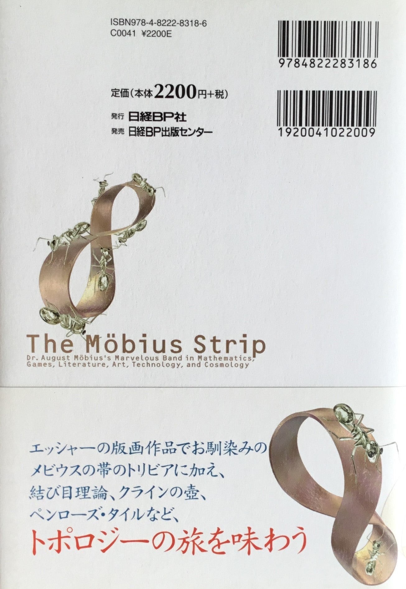 メビウスの帯 クリフォード・A・ピックオーバー 吉田三知世 訳