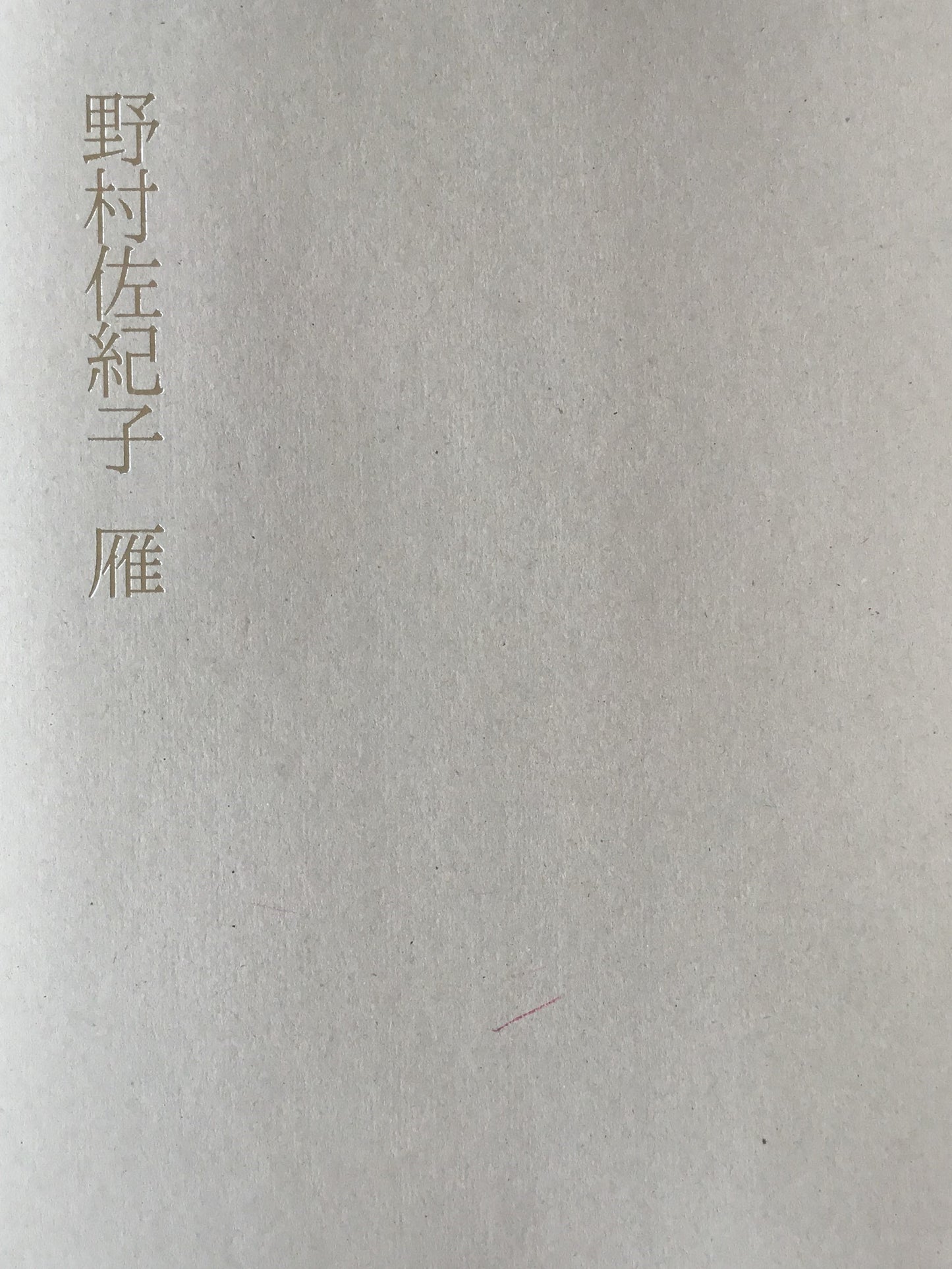 野村佐紀子写真集 雁