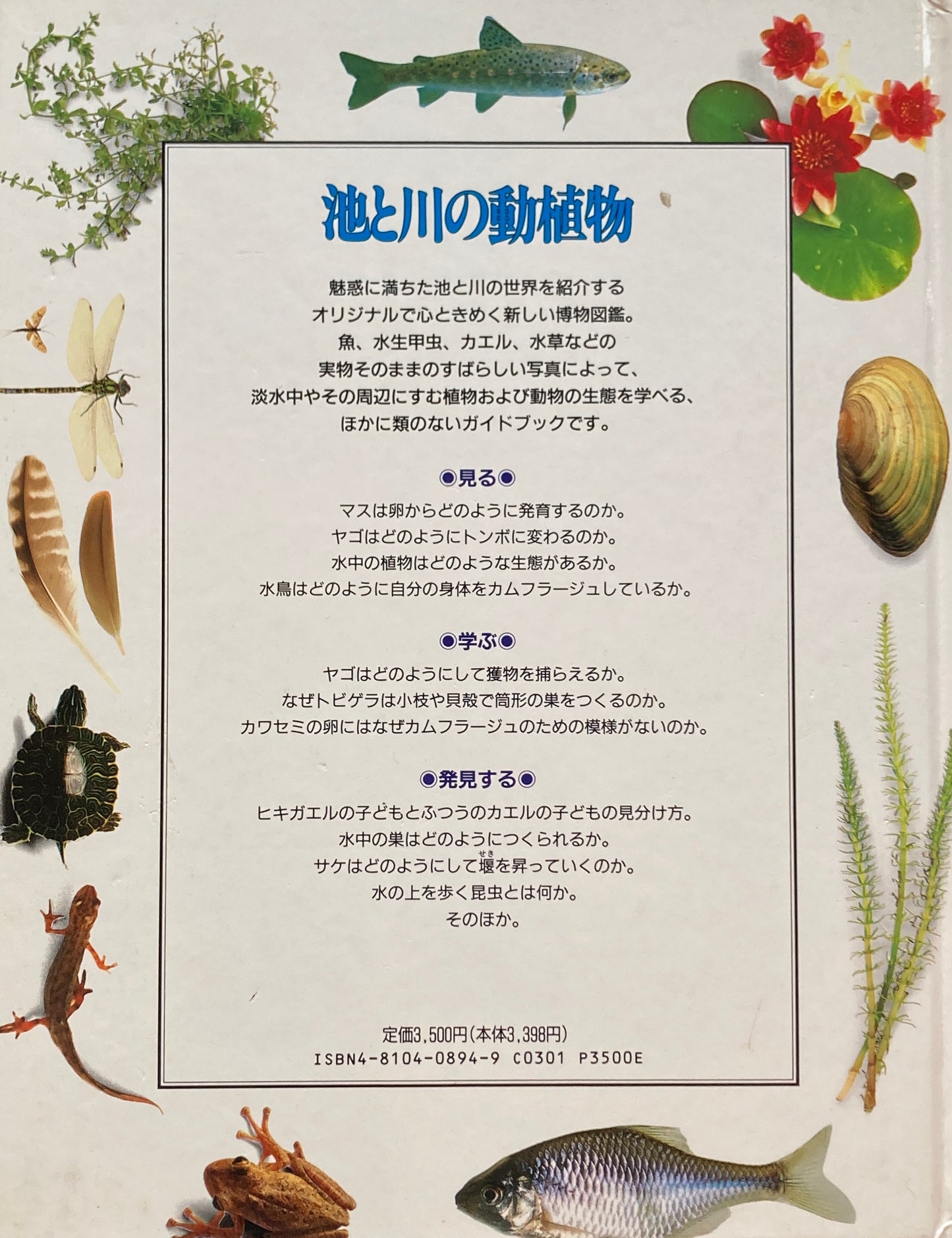 池と川の動植物 ビジュアル博物館 6