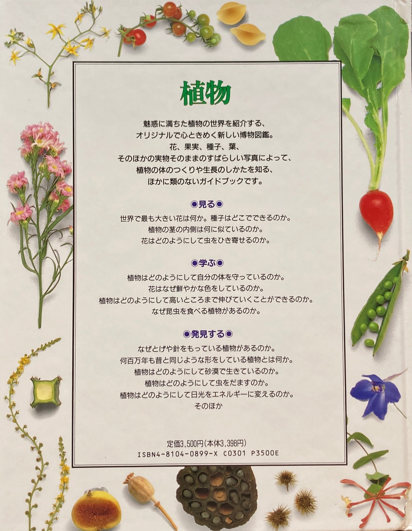 植物 ビジュアル博物館 11