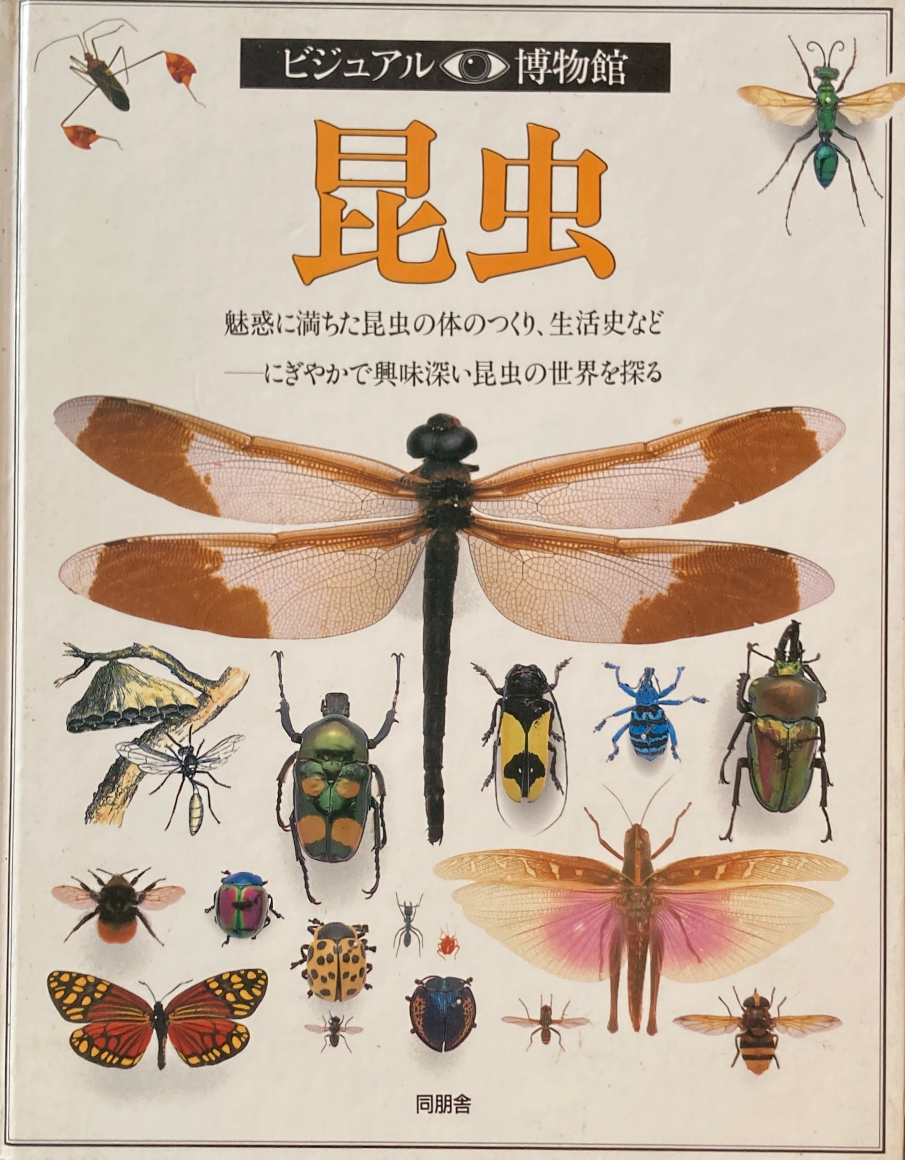 ビジュアル博物館　17冊 昆虫 ビジュアル博物館 17 – smokebooks shop