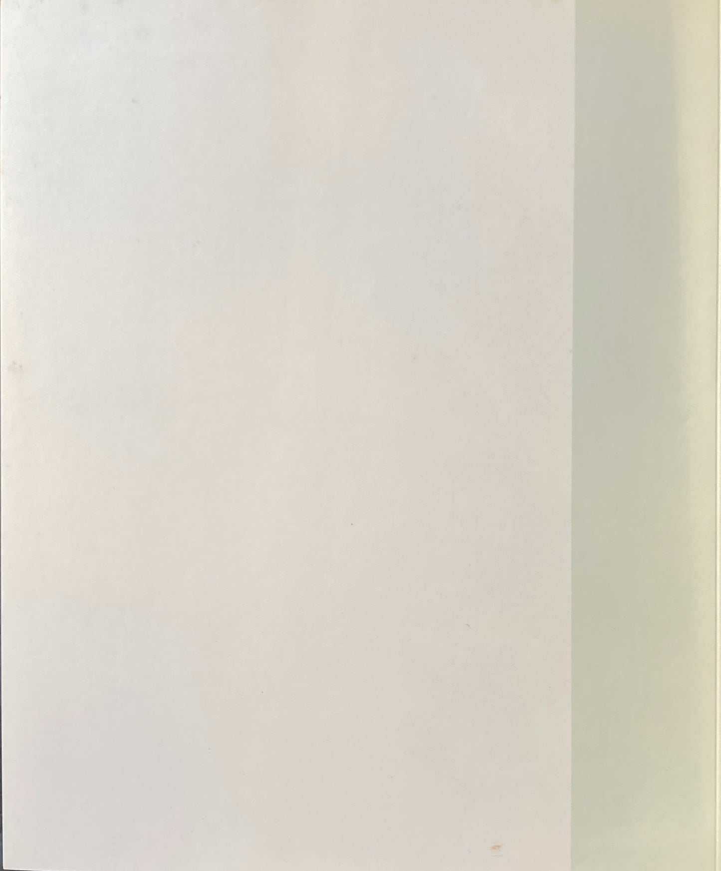 ニコラ・ド・スタール Nicolas de Staël 1993年