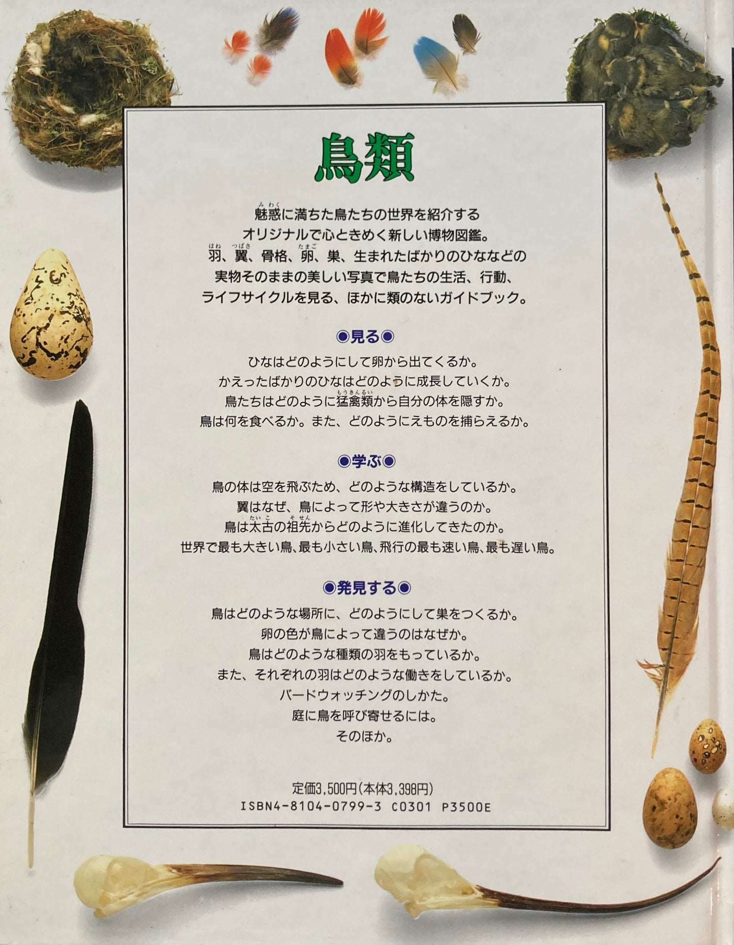 鳥類 ビジュアル博物館 1