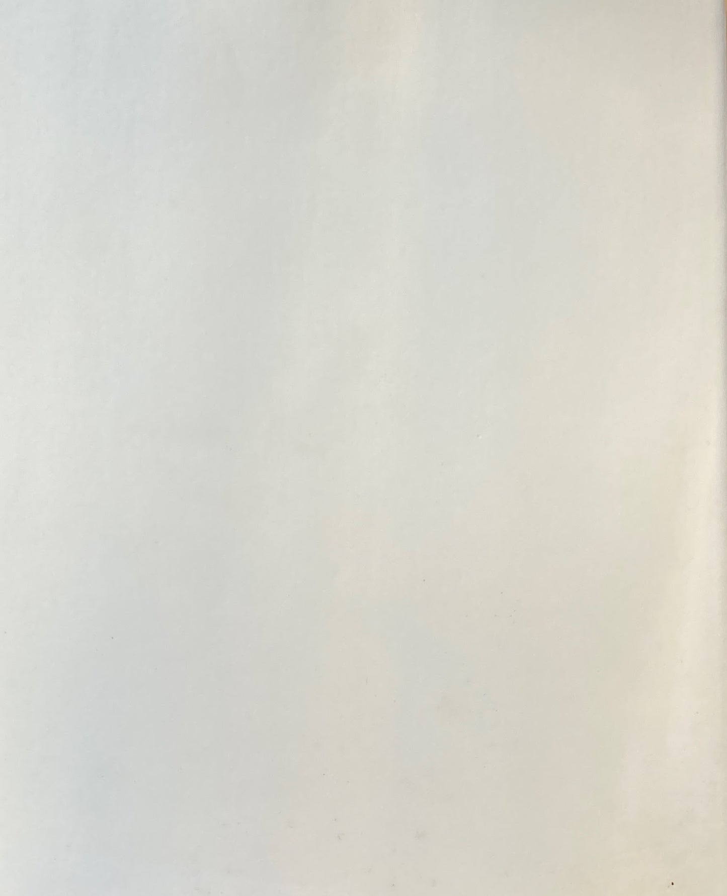 クプカ展 1994年