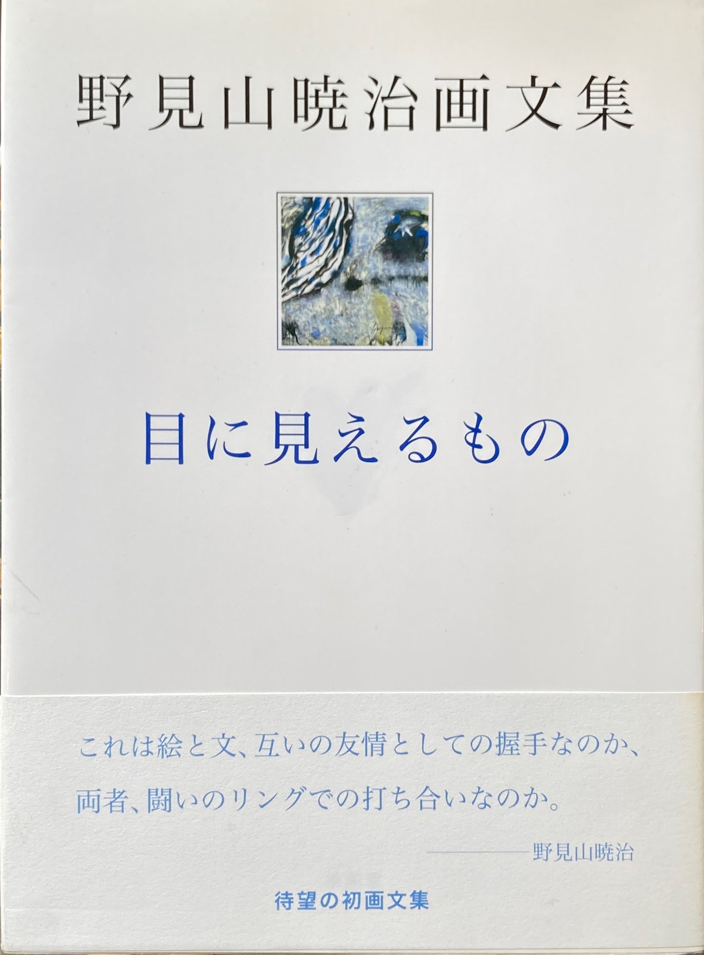 目に見えるもの 野見山暁治画文集