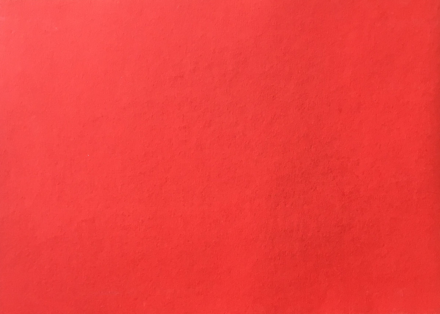 寺内曜子 Yoko Terauchi Städtisches Museum Abteiberg