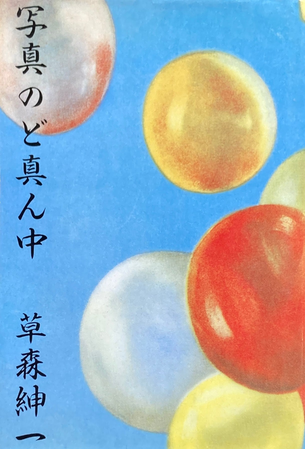 写真のど真ん中 草森紳一