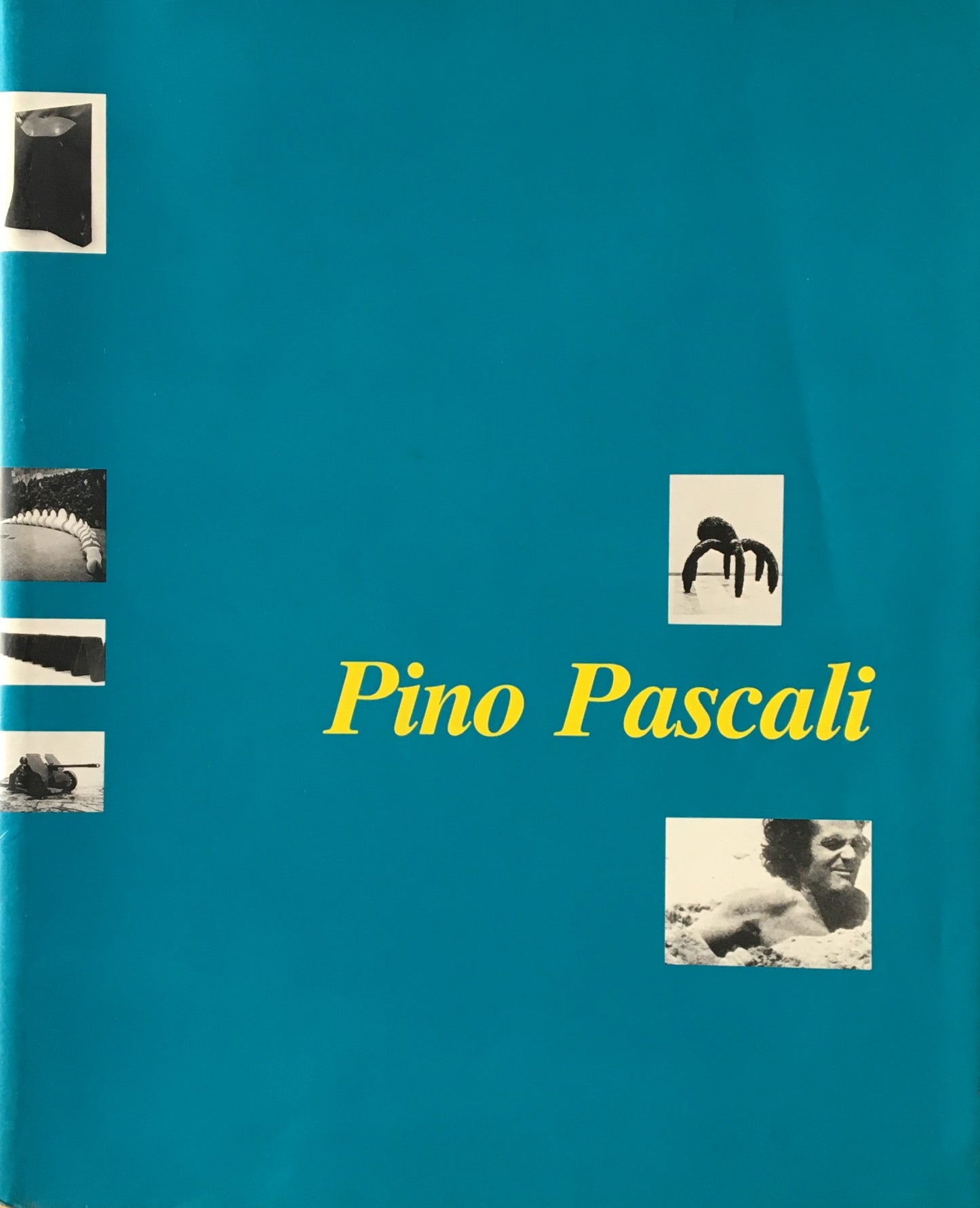 ピーノ・パスカーリ Pino Pascali Musee d'art Moderne de la Ville de Paris