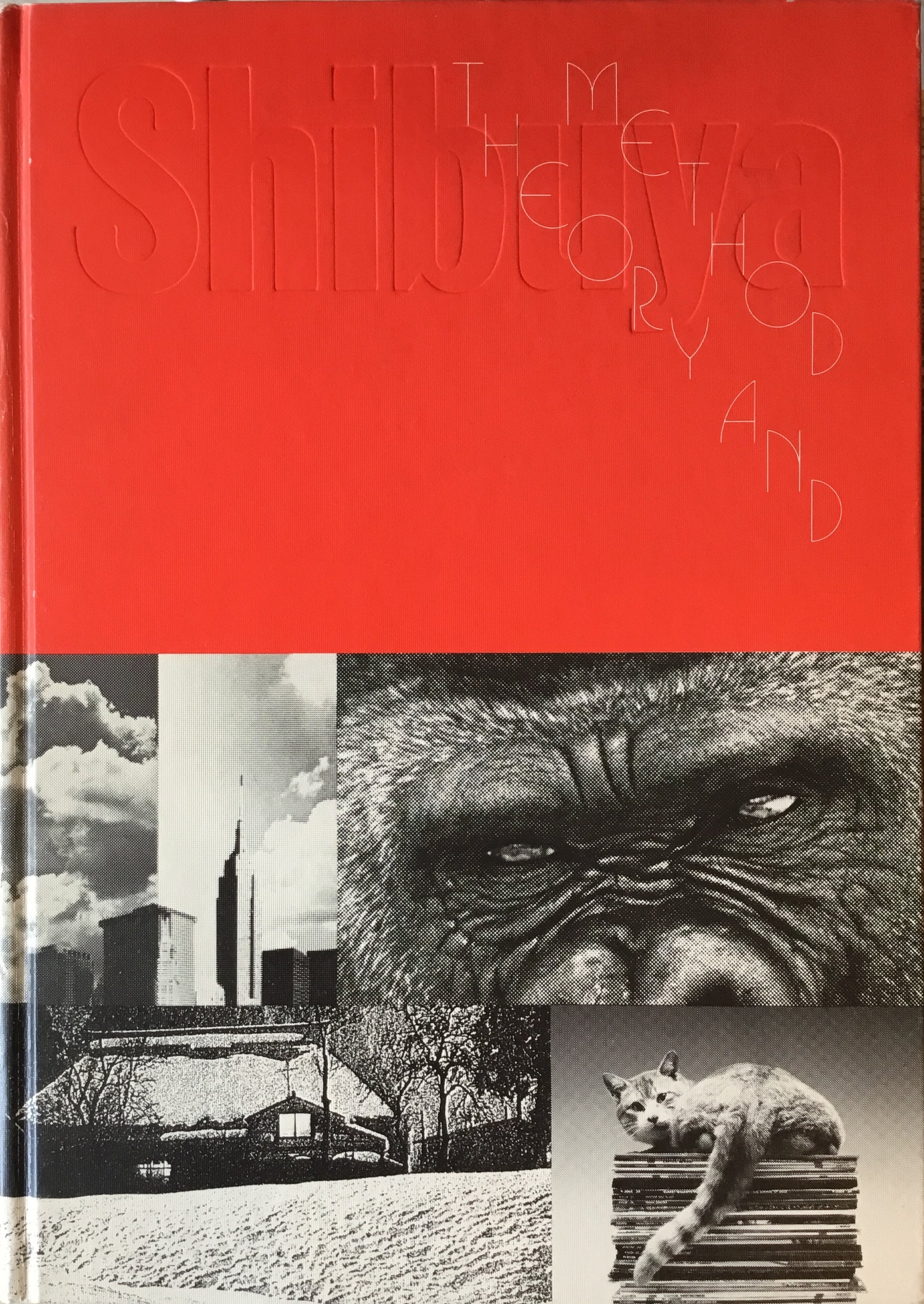 シブヤ製版 理論と方法