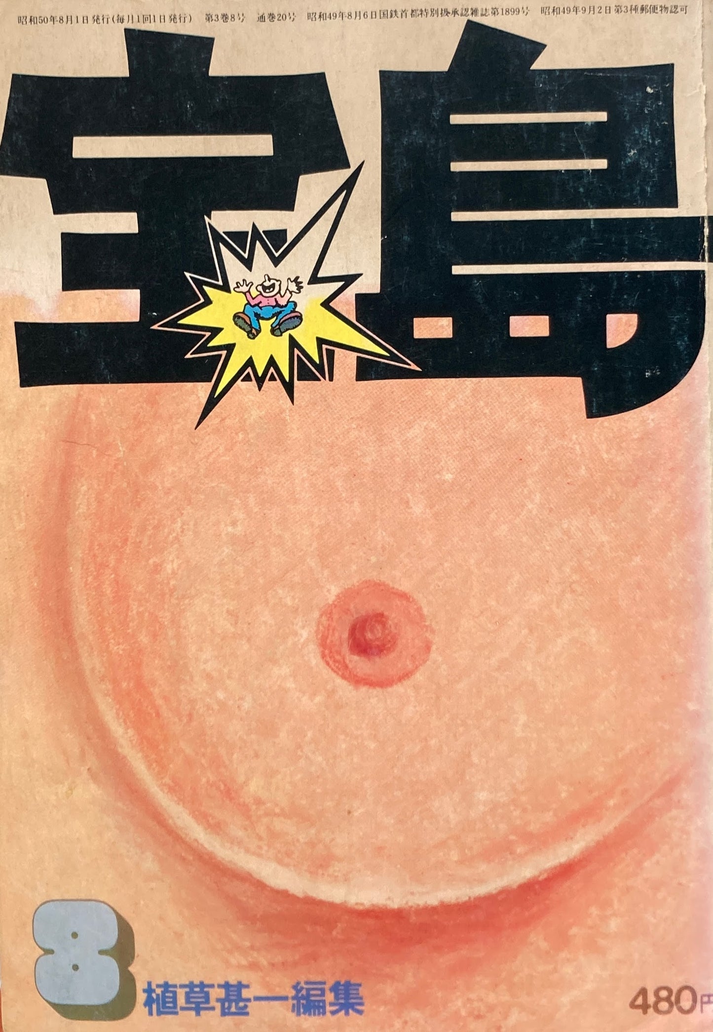 宝島 1975年8月号 もうブラジャーはいらない 植草甚一編集