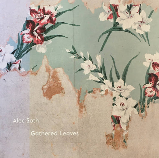 Gathered leaves 1843 Alec Soth アレック・ソス写真集BOXセット