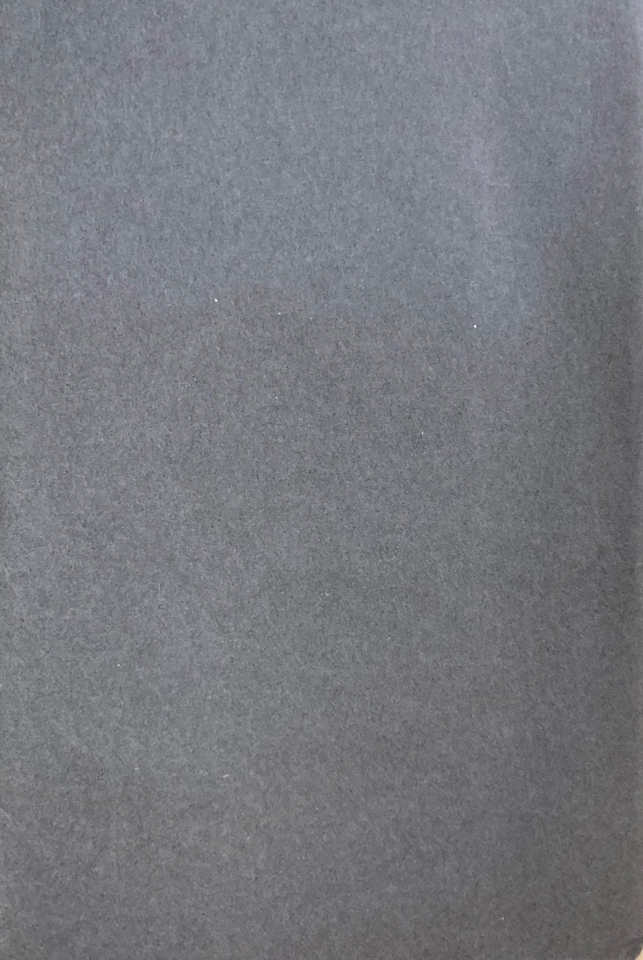 大きな都市小さな部屋 渡辺武信 SD選書90