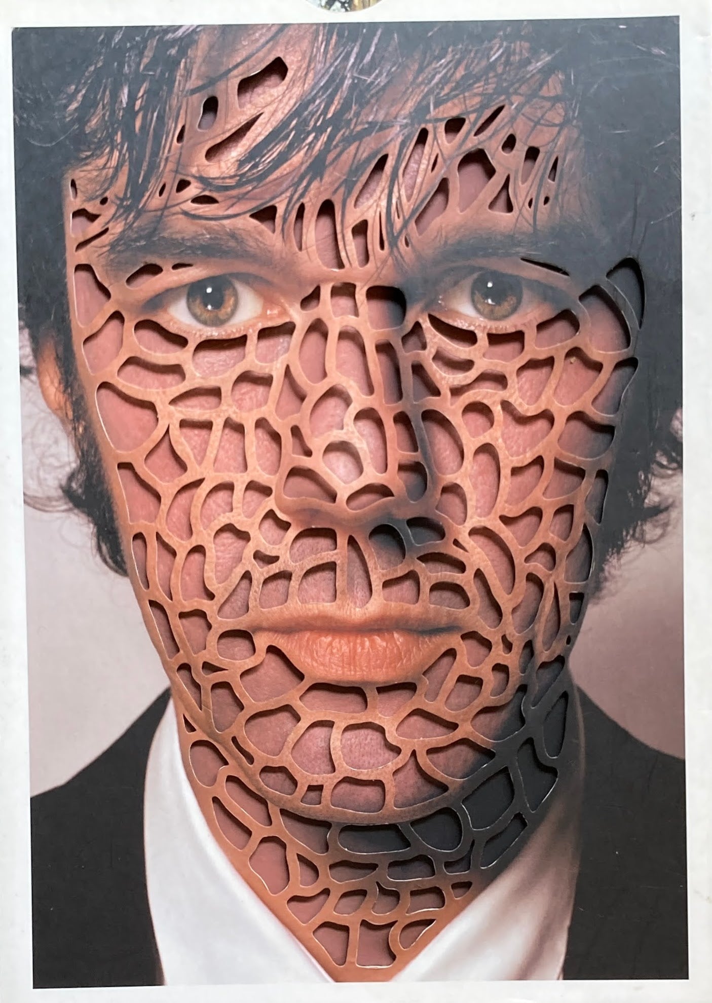Things I have Learned in my life so far　Stefan Sagmeister ステファン・サグマイスター　