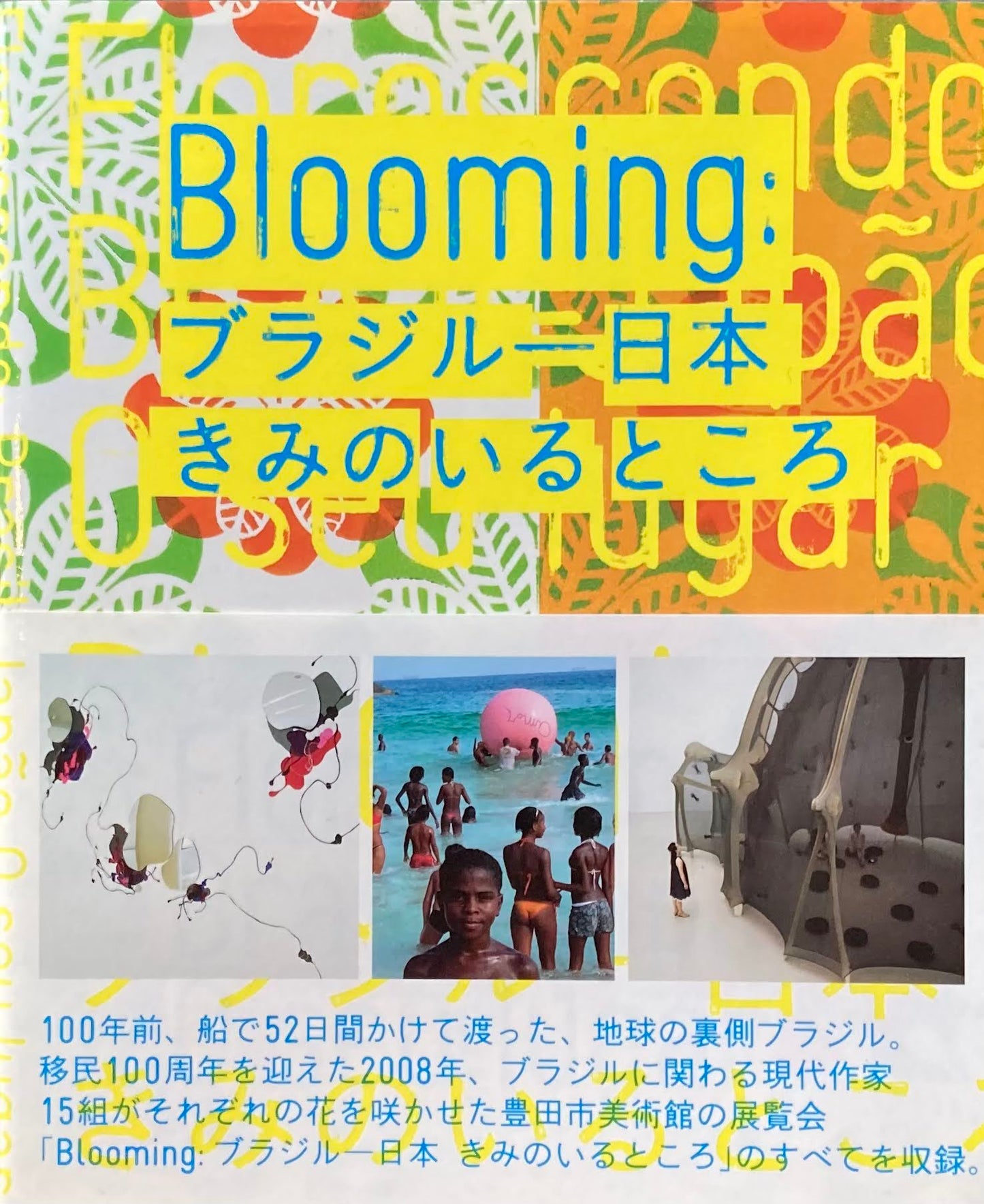 Blooming ブラジルー日本 きみのいるところ 豊田市美術館