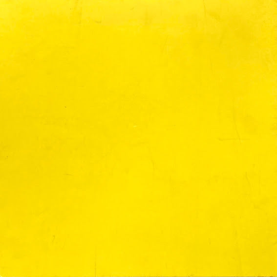 モニーク・フリードマン 金沢21世紀美術館