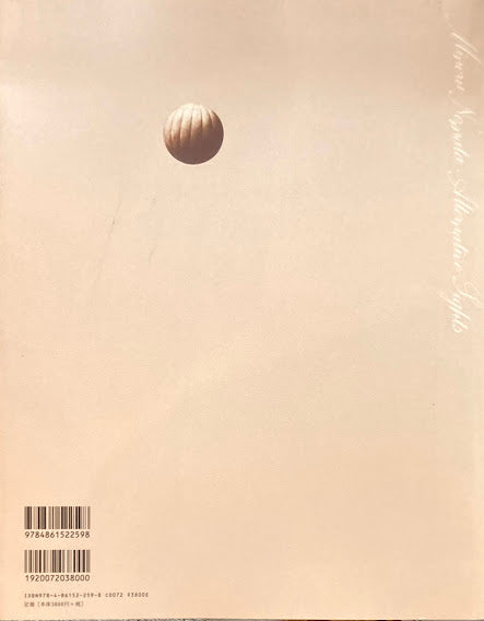 ALTERNATIVE SIGHTS もうひとつの場所 野又穫作品集