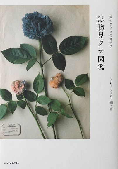 鉱物見タテ図鑑 鉱物アソビの博物学 フジイキョウコ