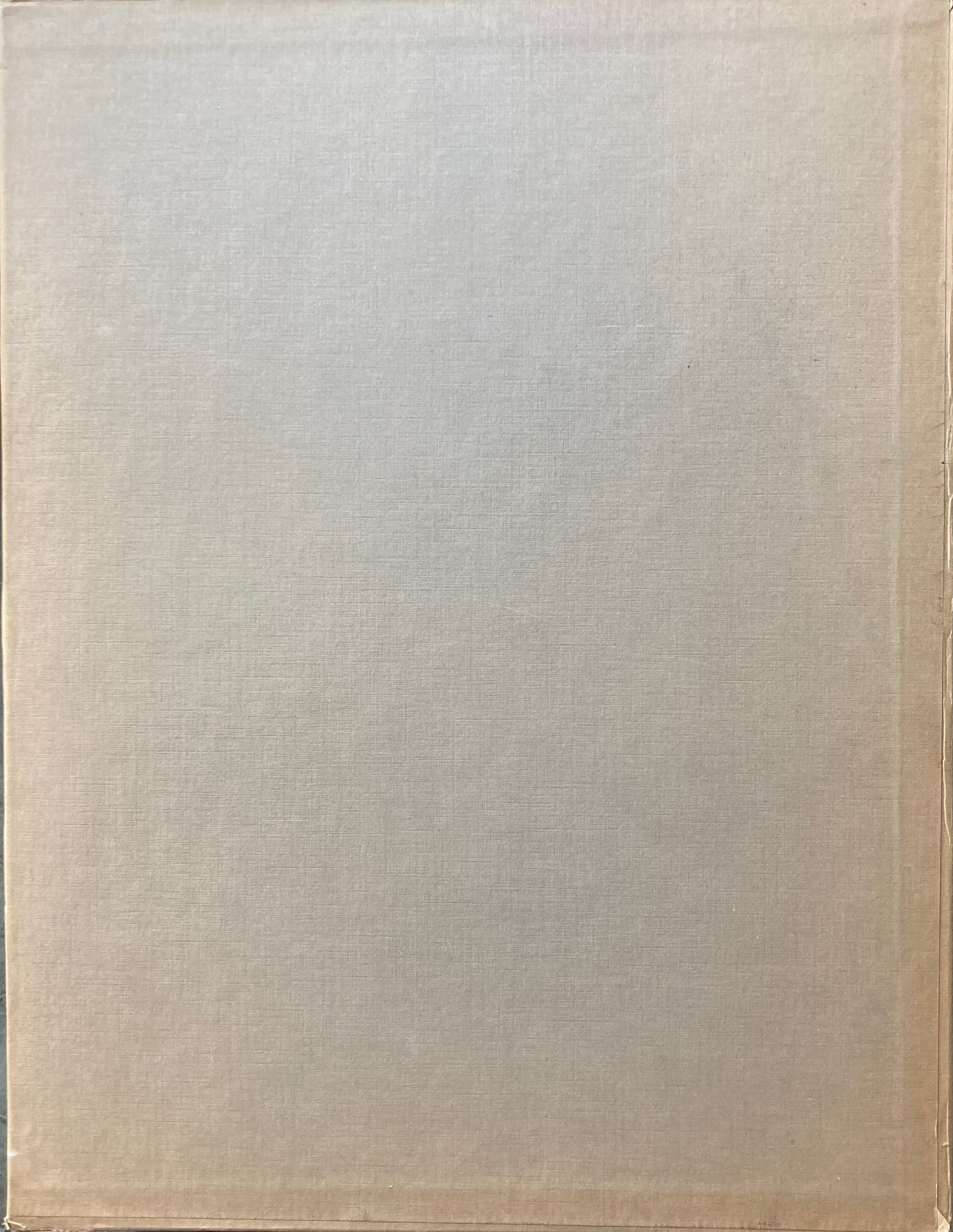 GEORGIA O’KEEFFE A PORTRAIT BY ALFRED STIEGLITZ ジョージア・オキーフ アルフレッド・スティーグリッツ