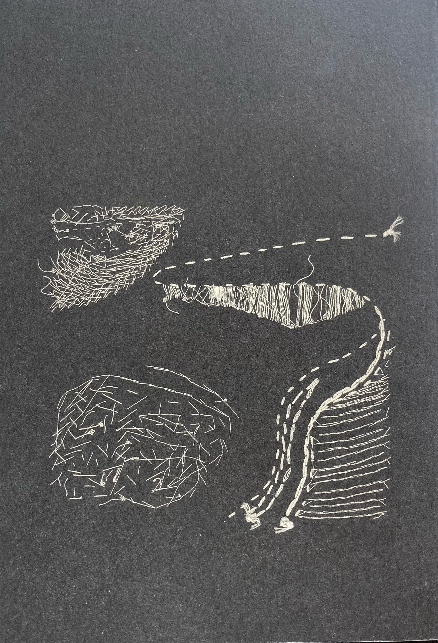 ありふれたくじら vol.1 是恒さくら