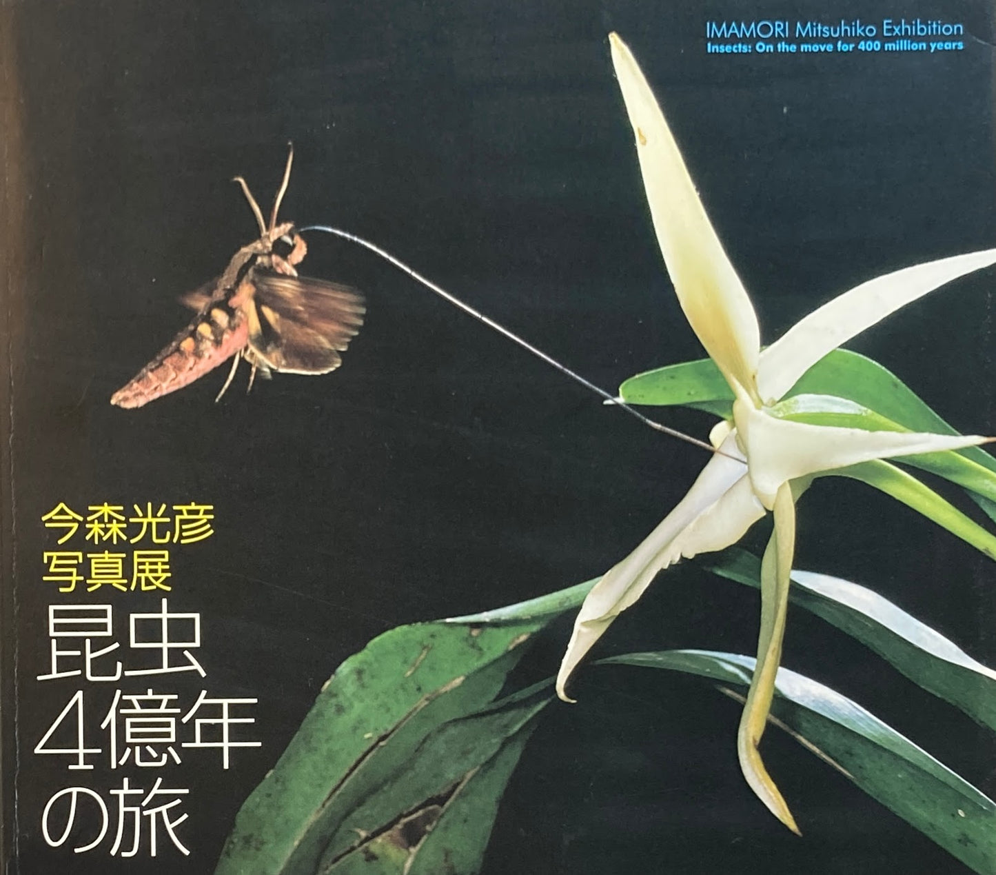 今森光彦写真展 昆虫4億年の旅