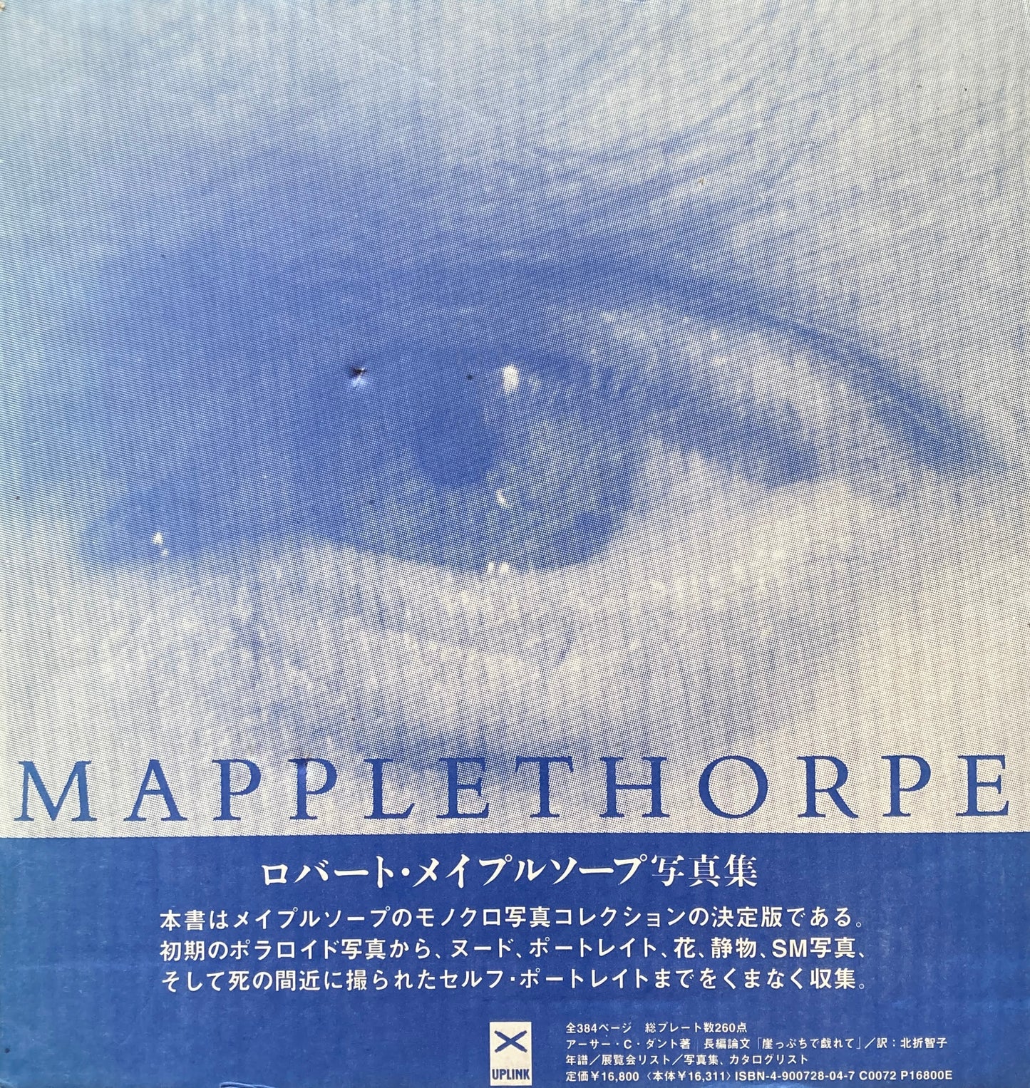 ロバート・メイプルソープ写真集 日本版