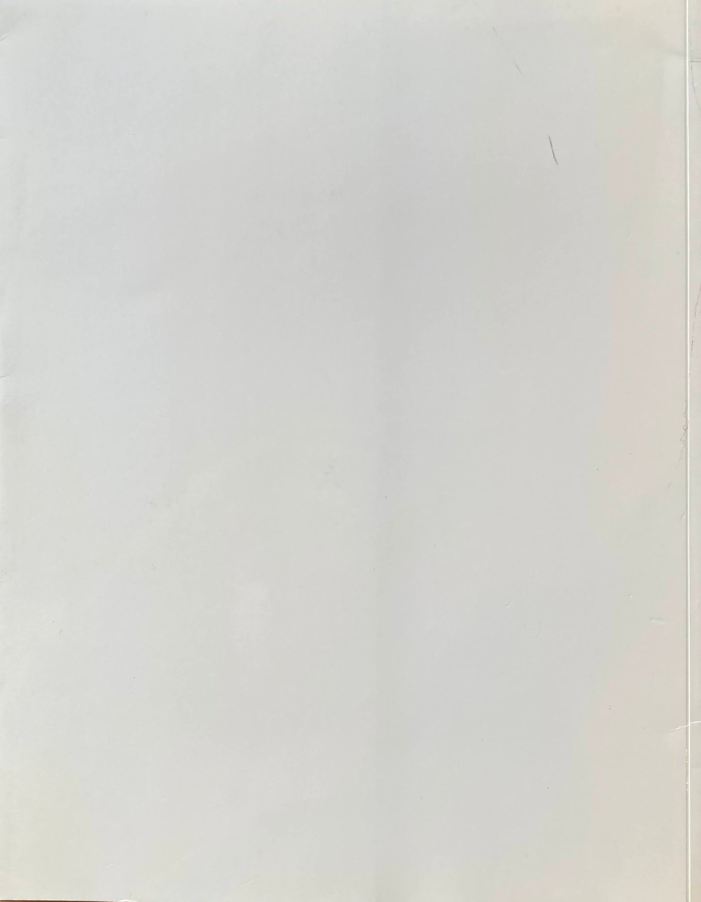 Home Made Prints by David Hockney Nishimura Gallery