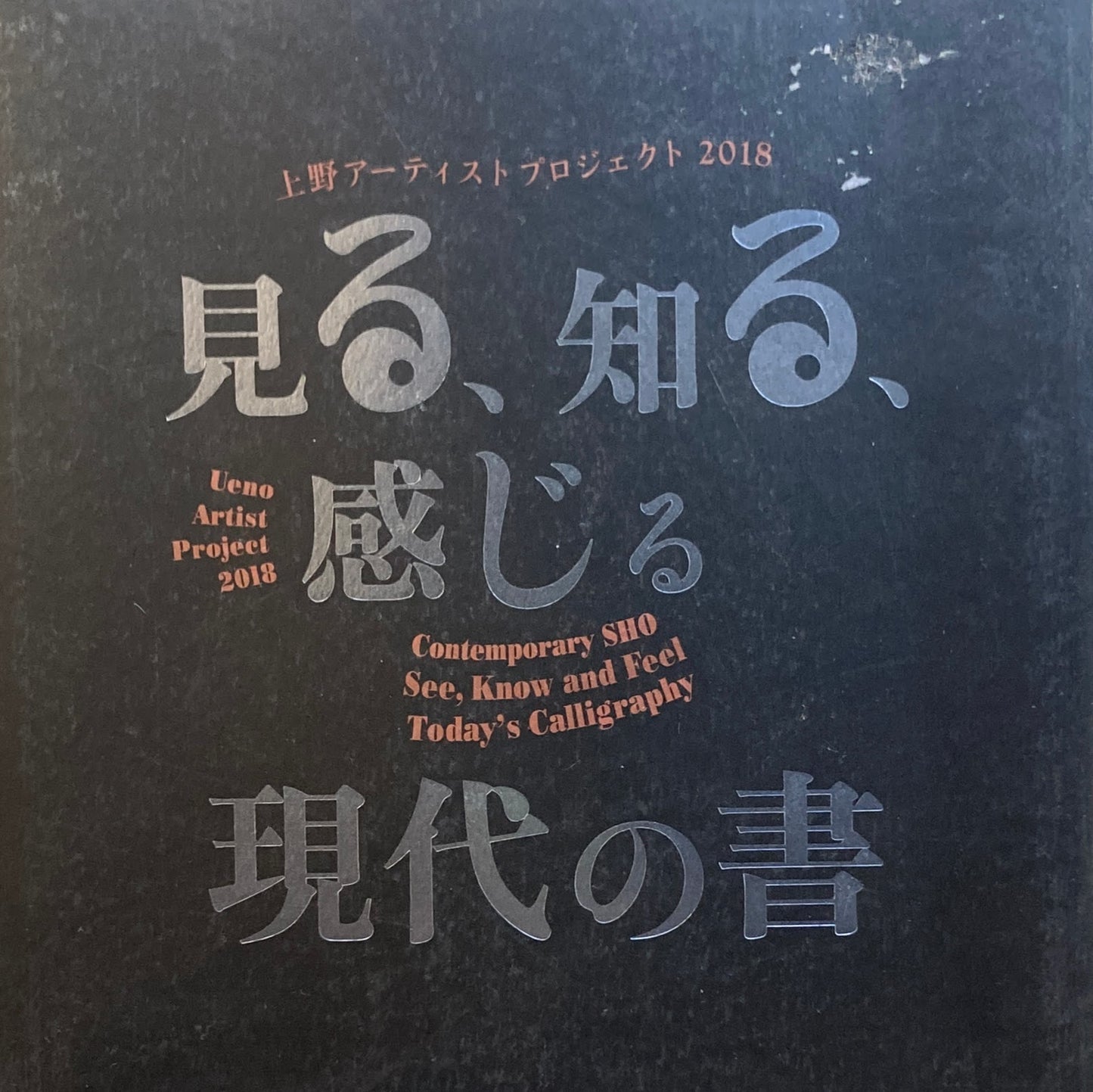 見る、知る、感じる現代の書 上野アーティストプロジェクト2018