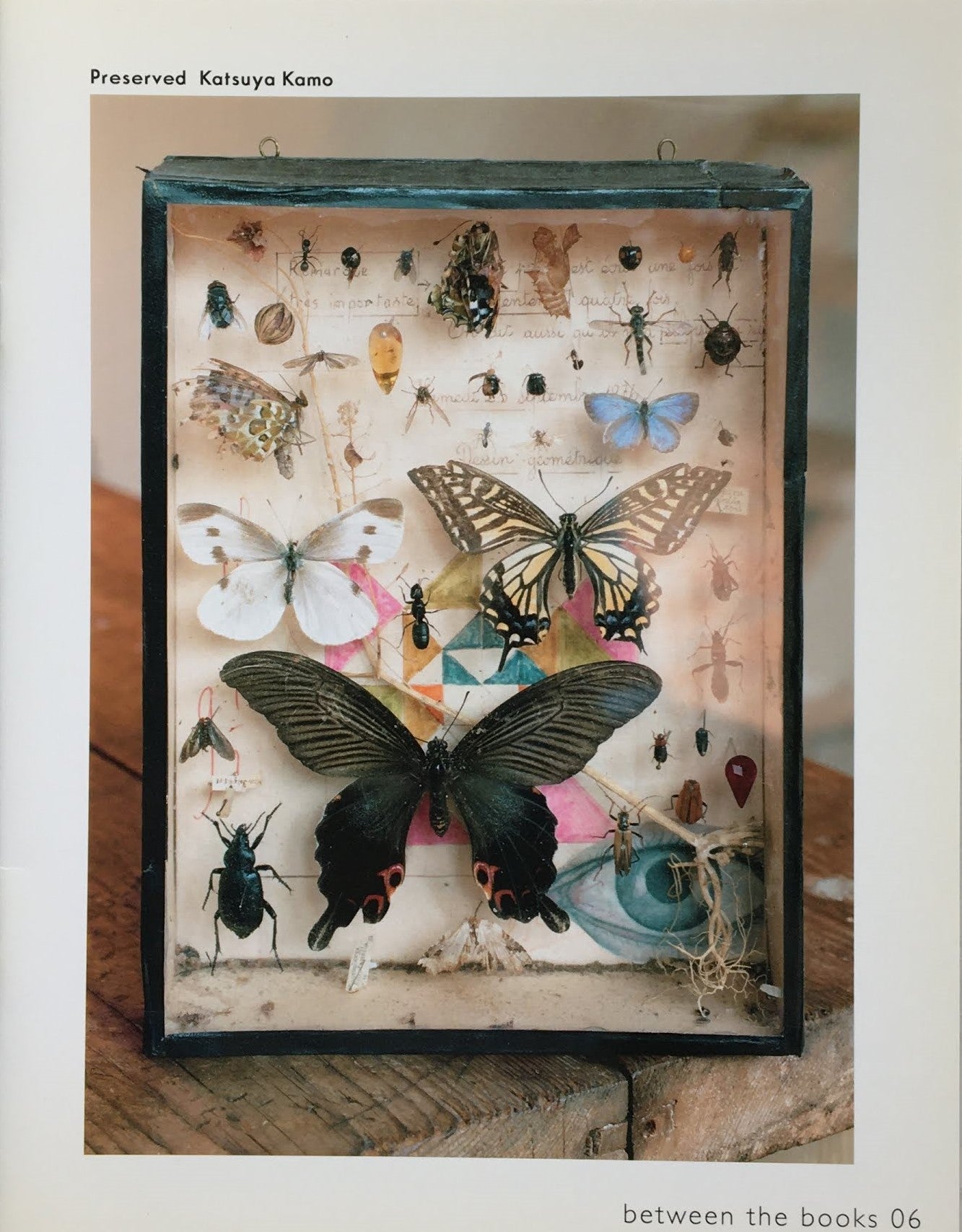 Preserved  Katsuya Kamo 加茂克也  between the books