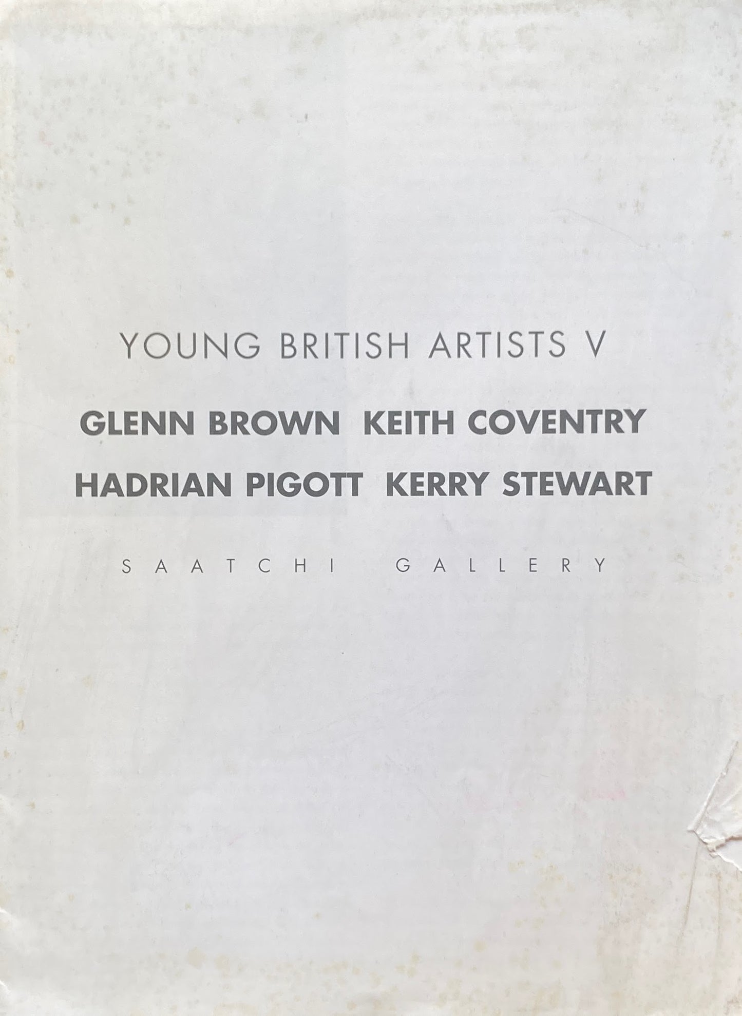 Young British Artists Ⅴ Saatchi Gallery
