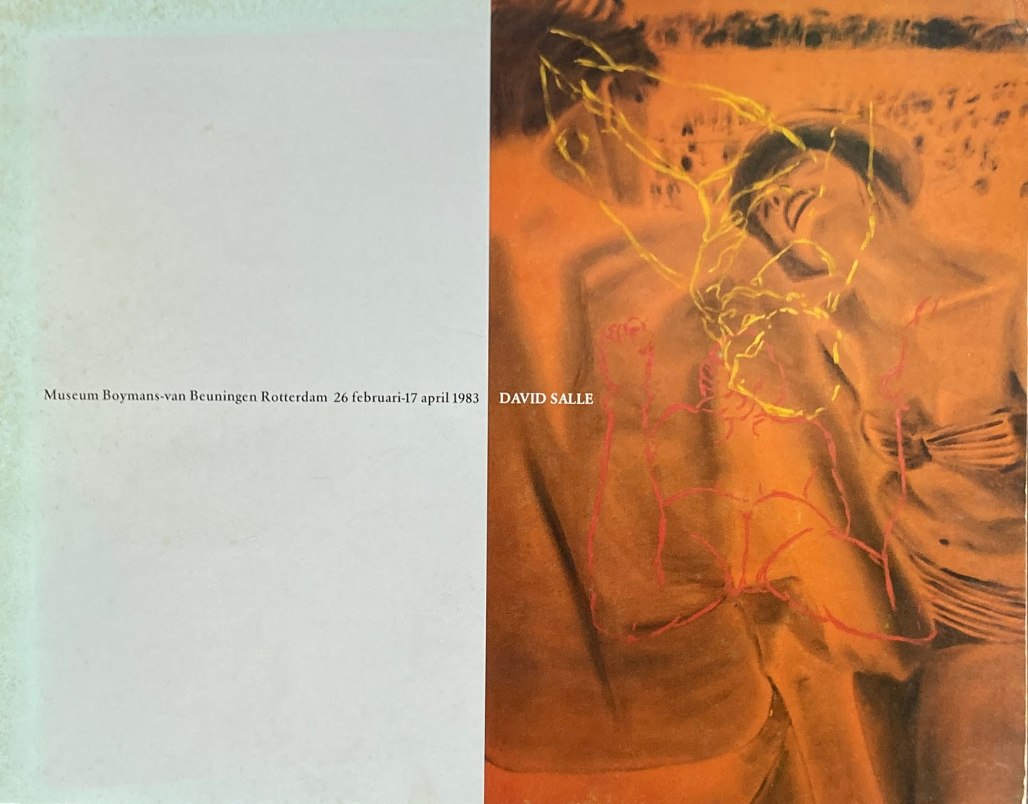 DAVID SALLE Museum Boymans デイヴィッド・サーレ