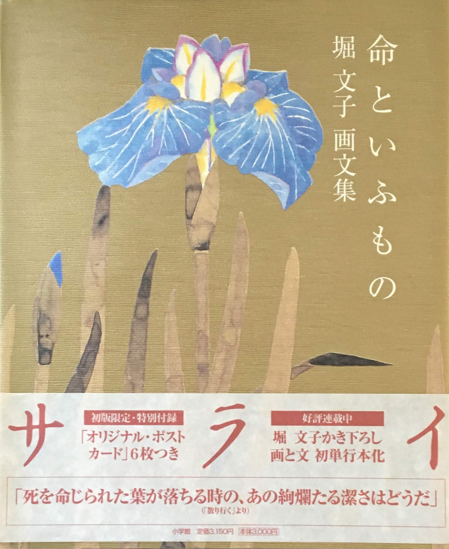 命といふもの 堀文子 画文集