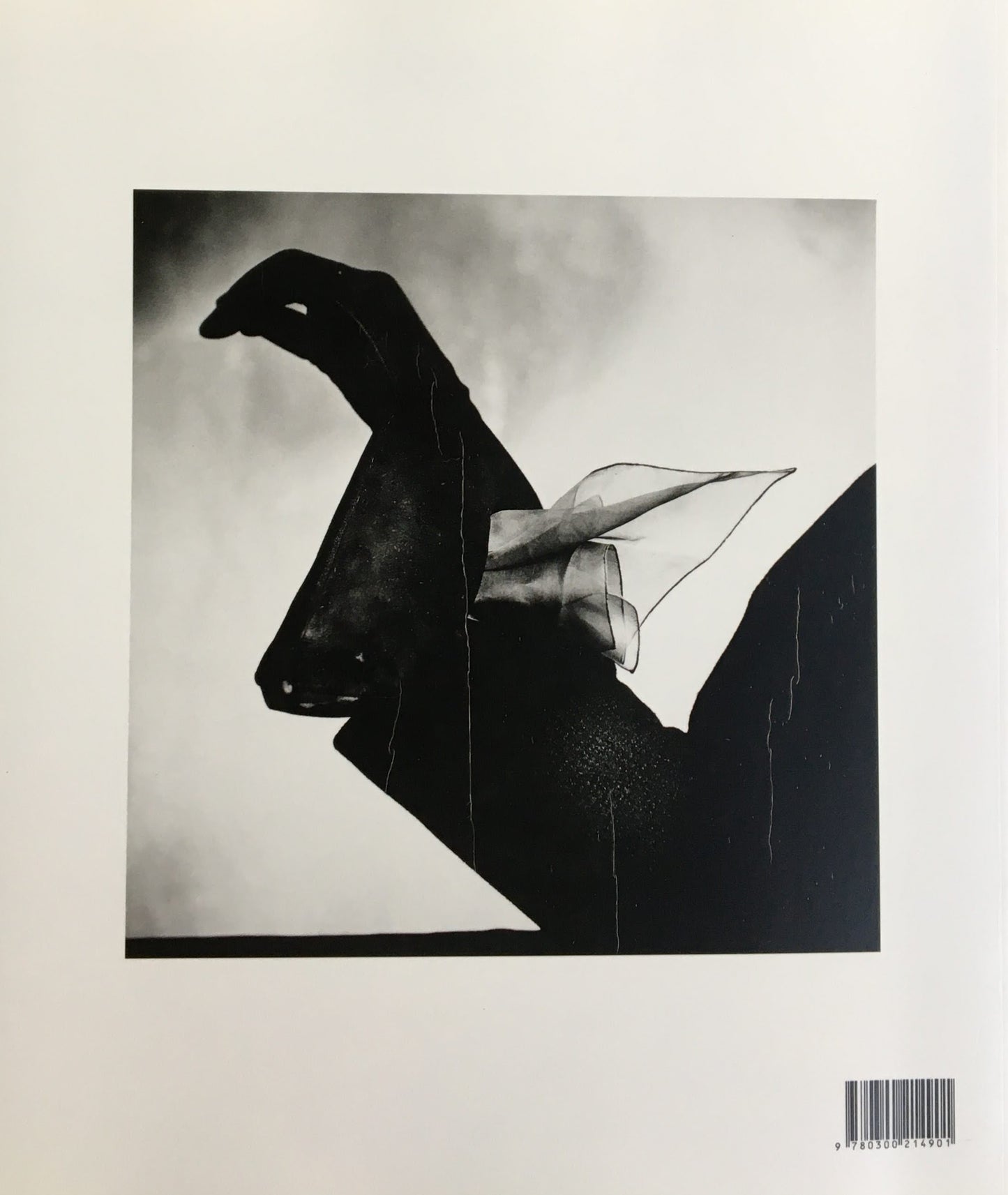 Irving Penn Beyond Beauty