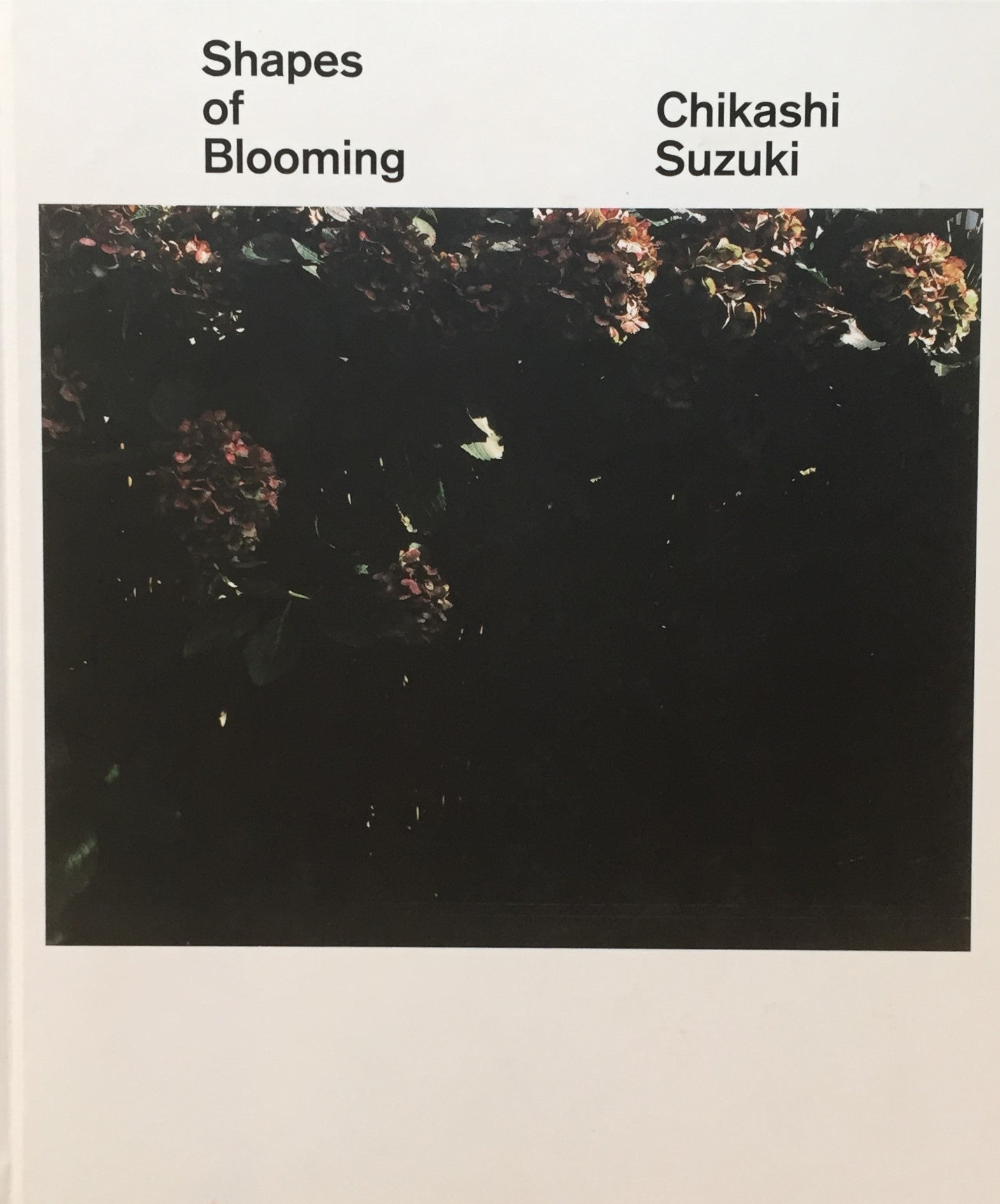 Shapes of Blooming 鈴木親写真集 – smokebooks shop