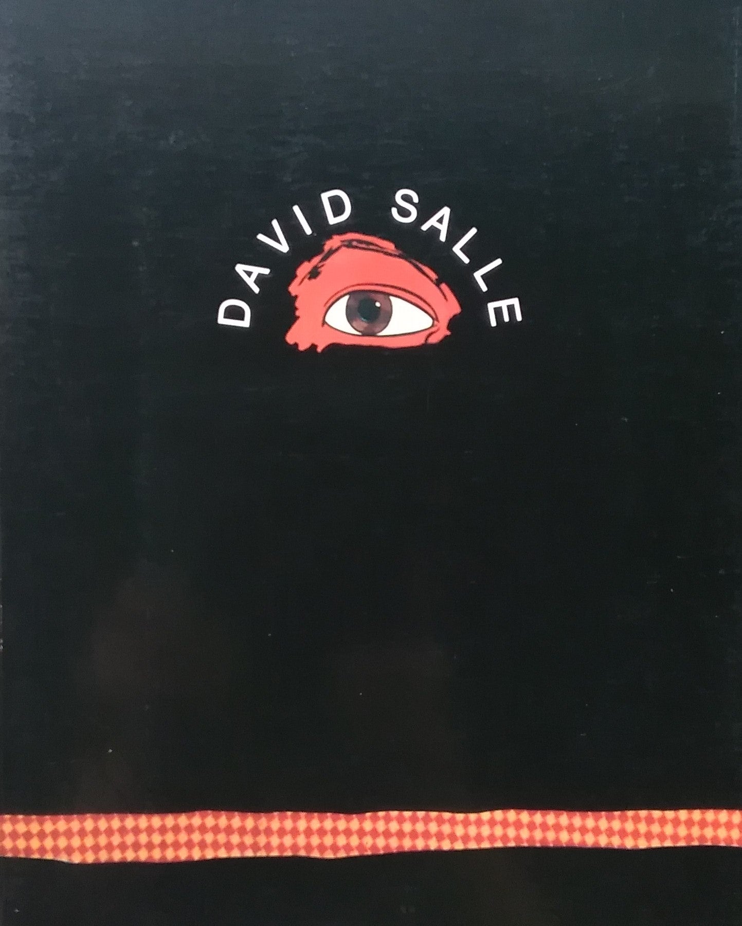 ディヴィッド・サーレ DAVID SALLE FUNDACION CAJA DE PENSIONES