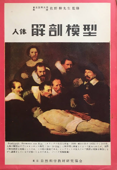 人体解剖模型図 自然科学教材研究協会編