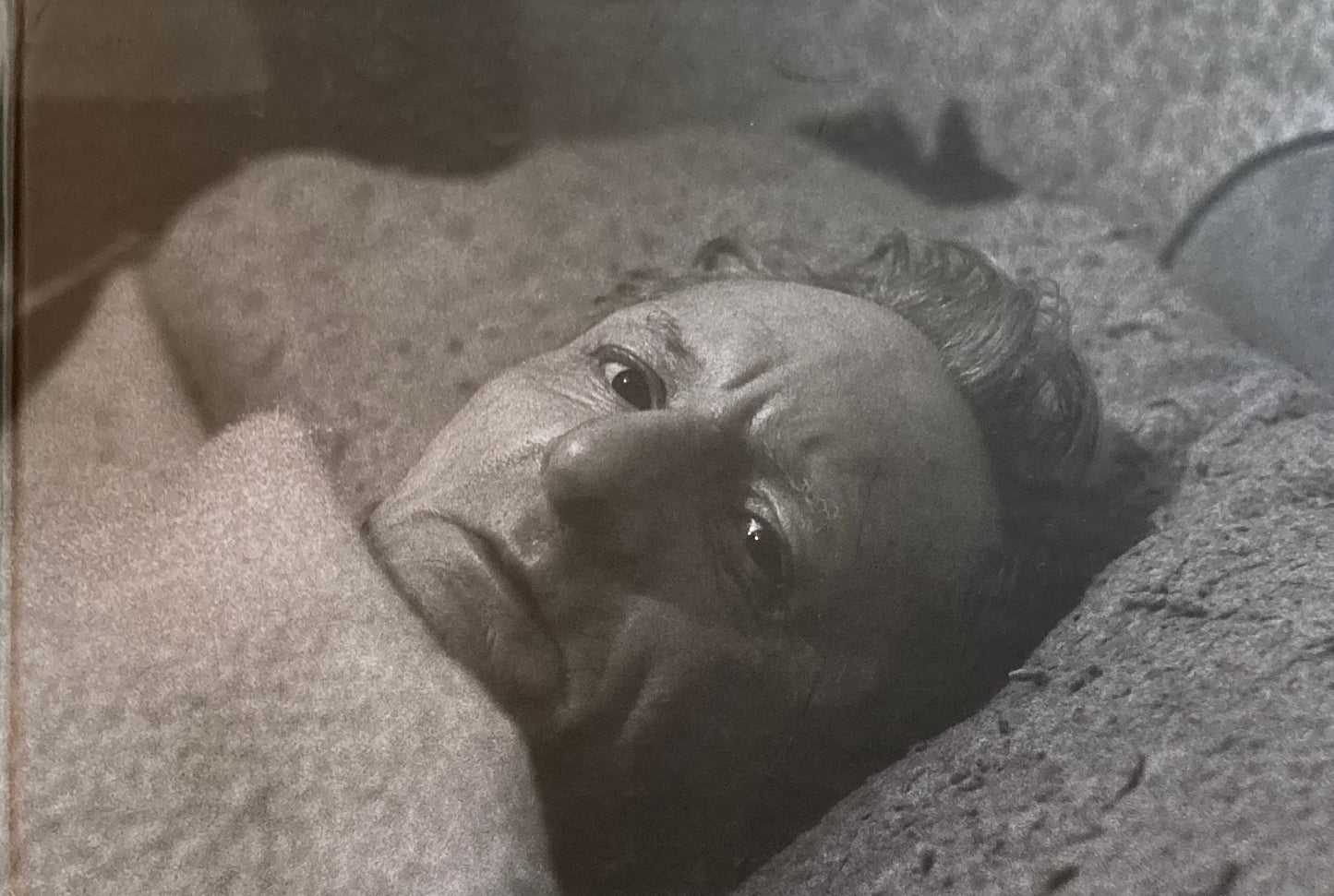 Richard Billingham Michael Tarantino Ikon Gallery & agnes b