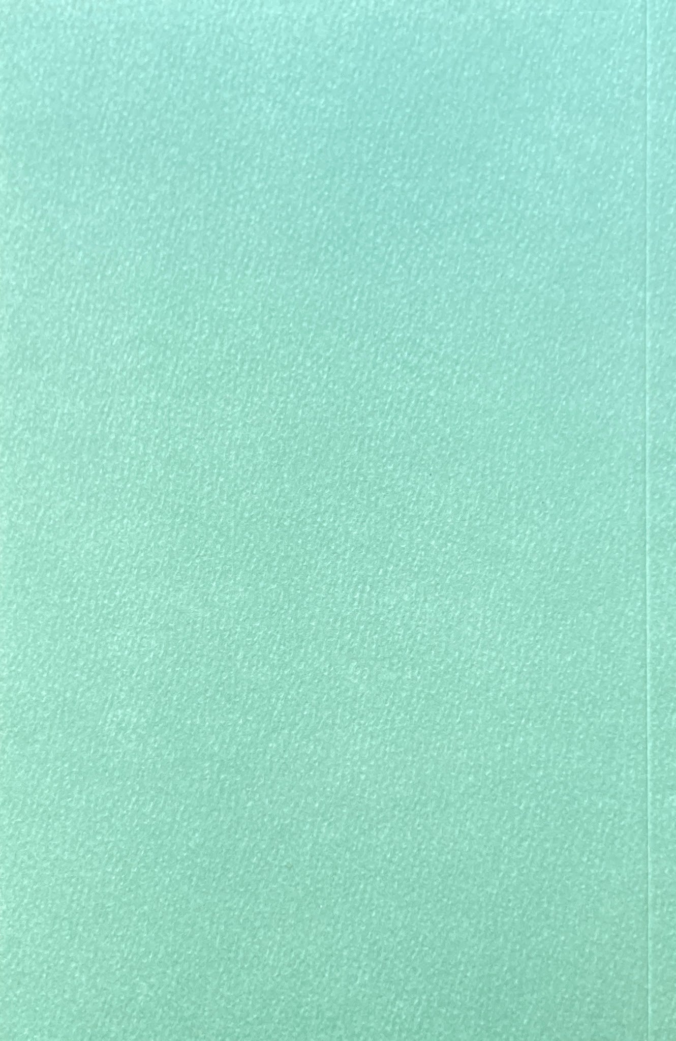 THE ACROBAT Michaël Borremans ミヒャエル・ボレマンス