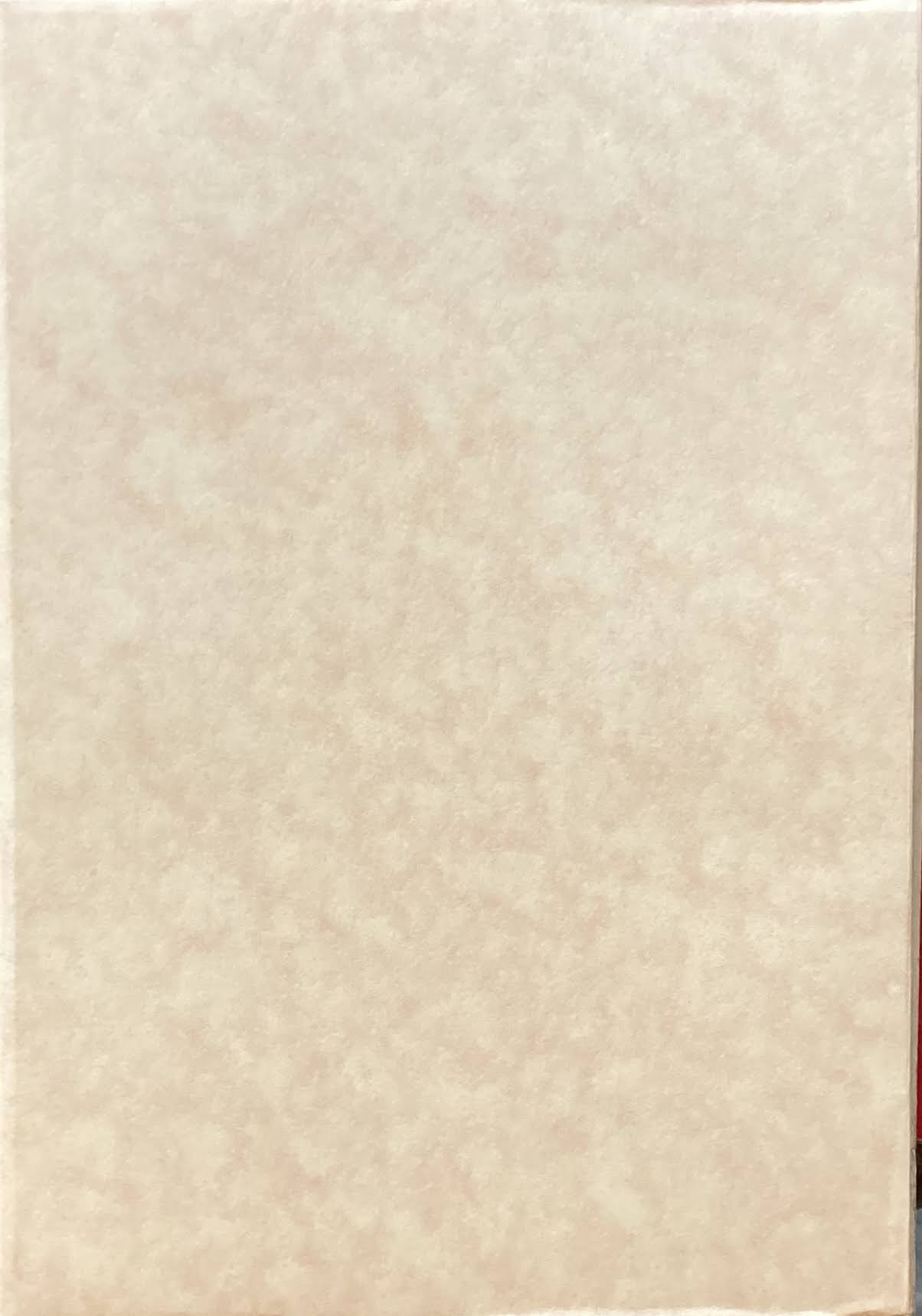 建築 雌の視角 長谷川堯