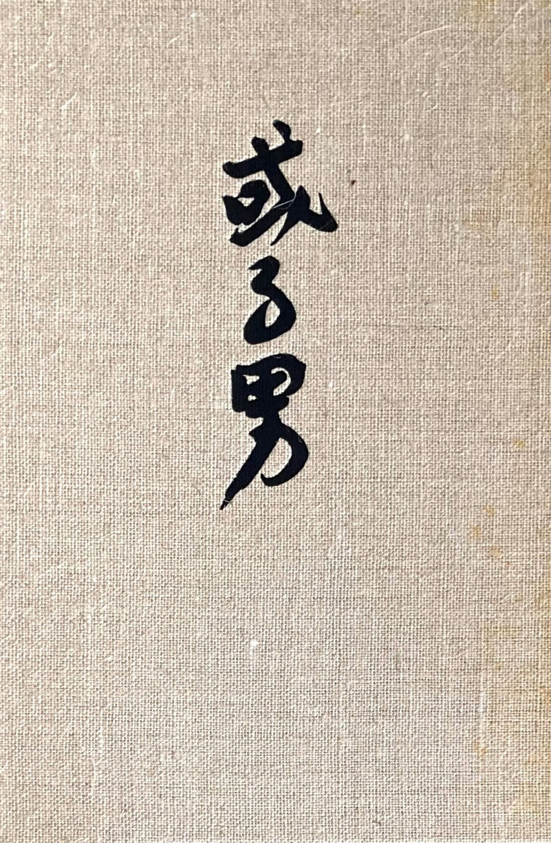 或る男 武者小路実篤 精選名著複刻全集 近代文学館 昭和49年