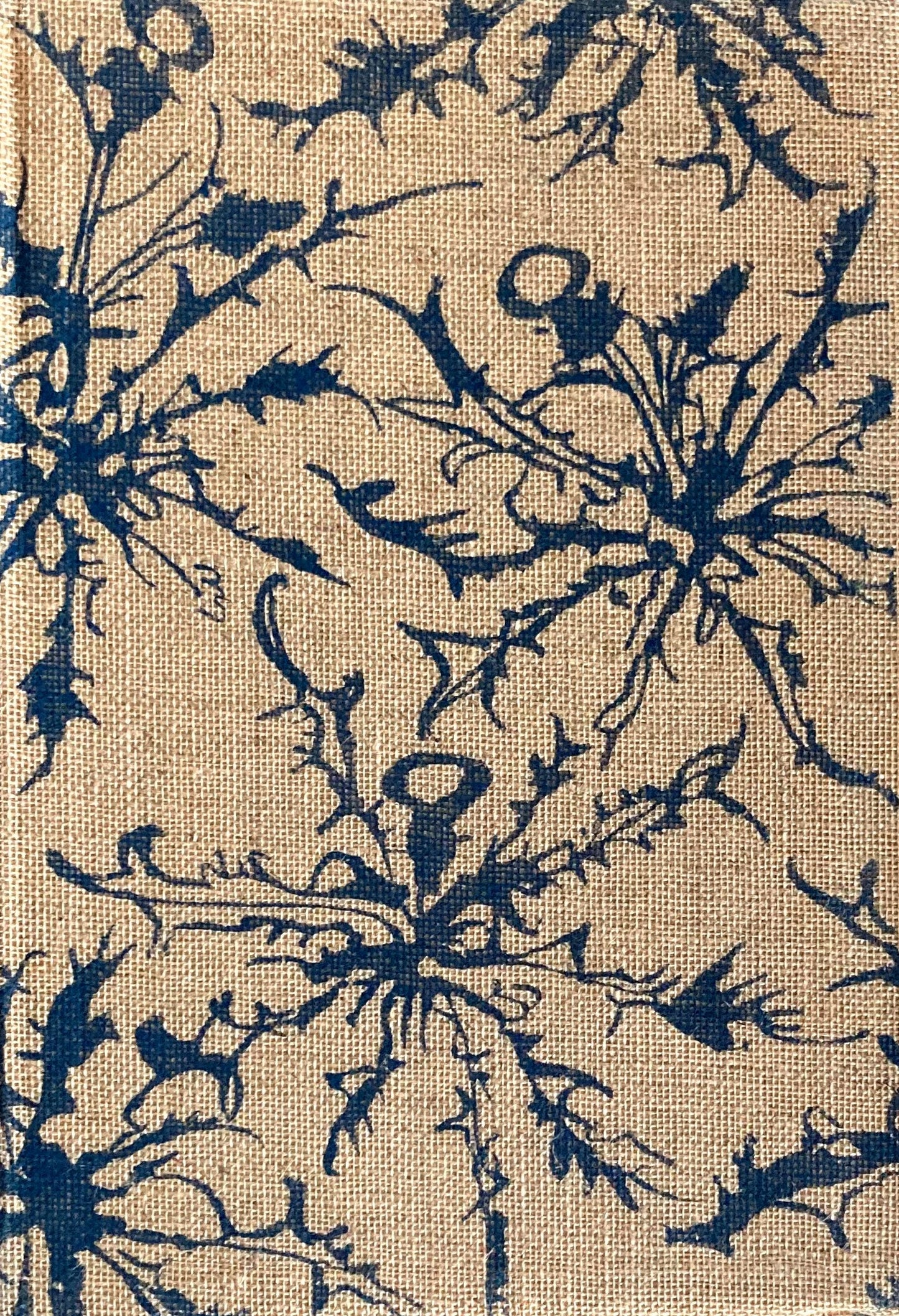 春と修羅 宮澤賢治心象スケッチ 精選名著複刻全集 近代文学館 昭和49年